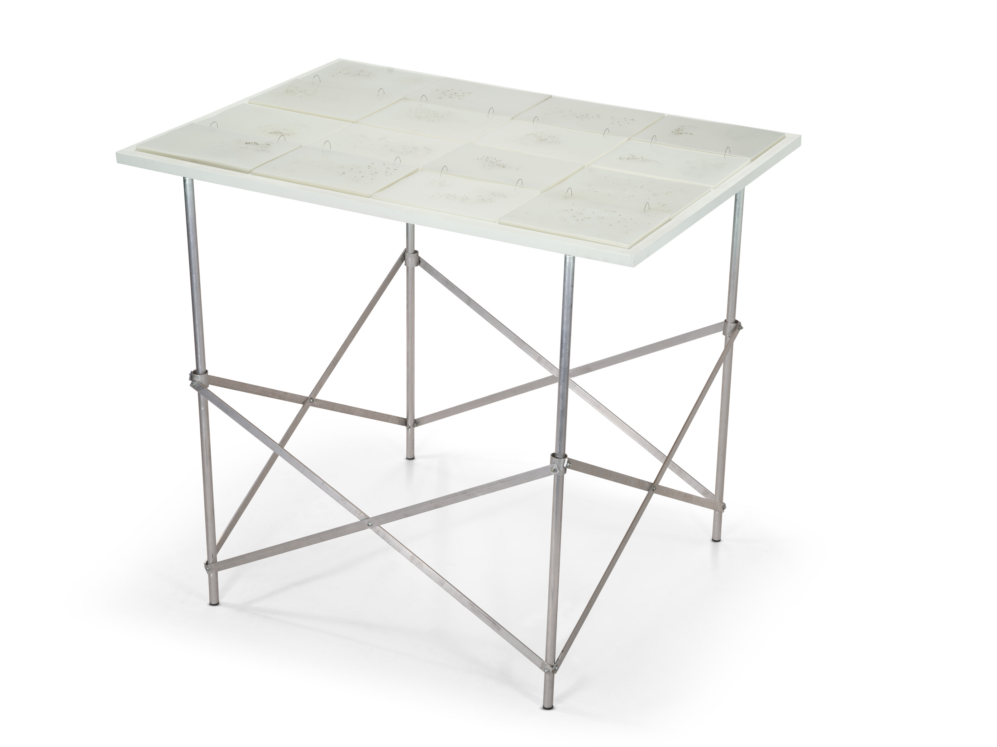 RIVANE NEUENSCHWANDER (B. 1967) image 3