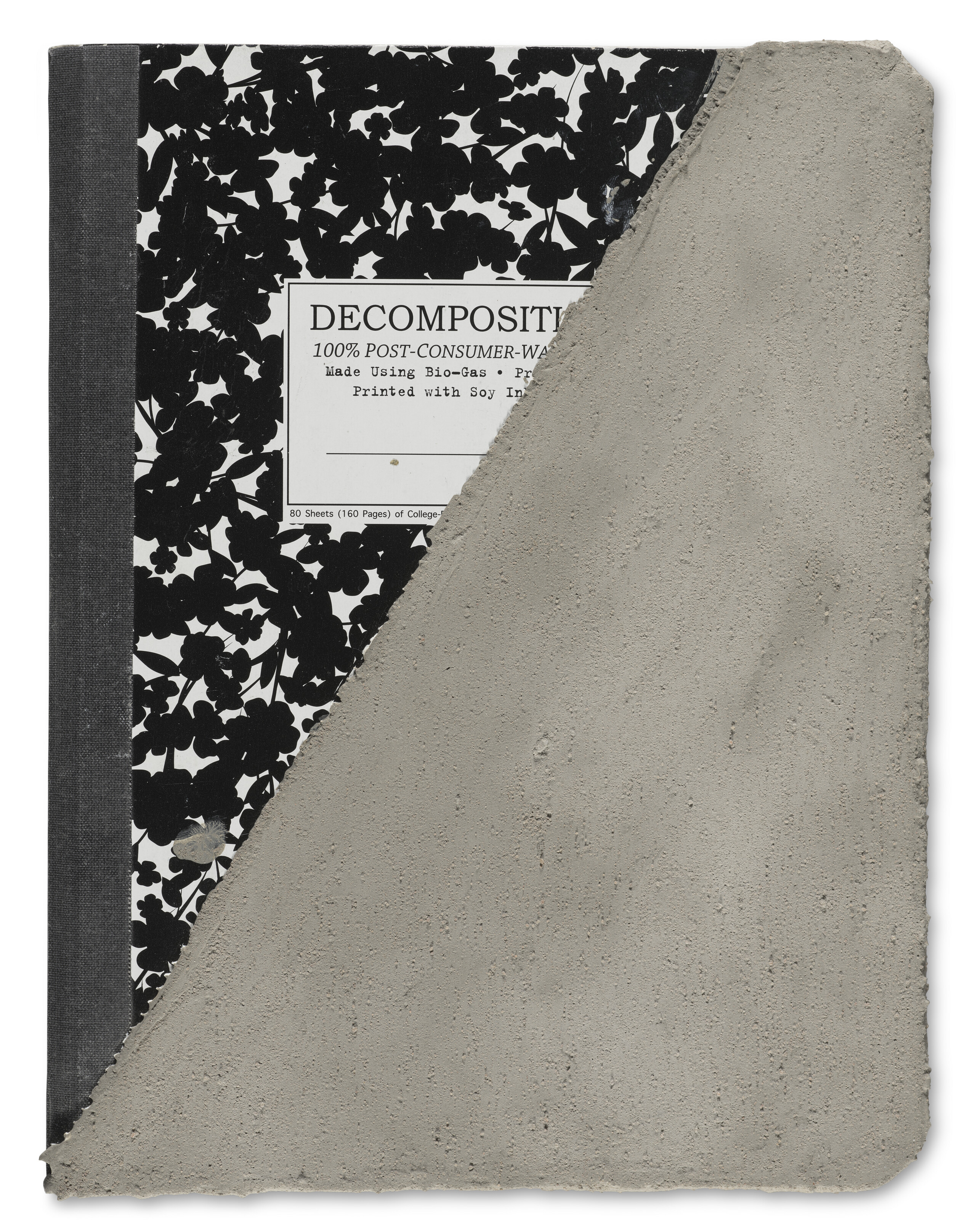 MARCELO CIDADE (B. 1979) image 2