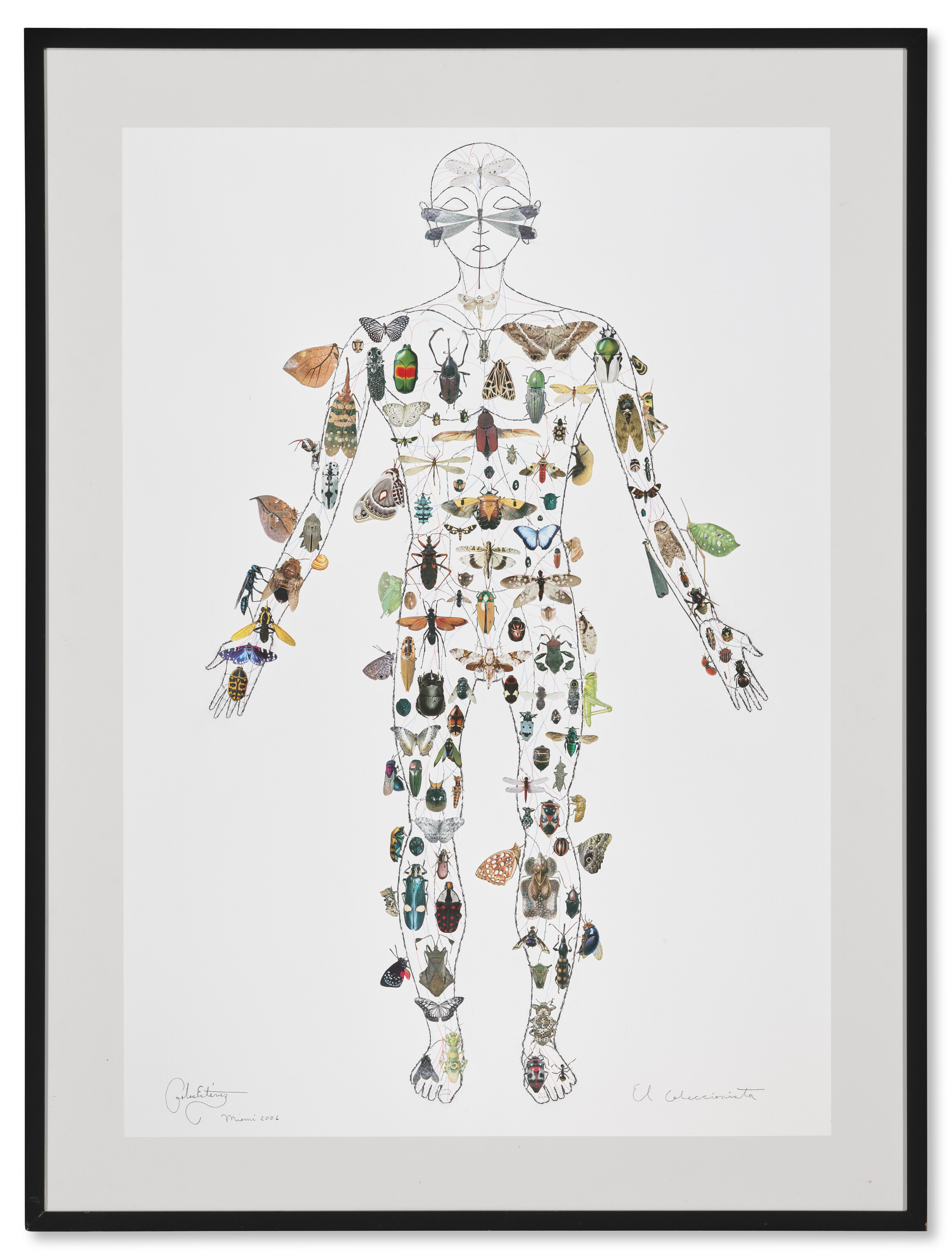 CARLOS ESTÉVEZ (B. 1969) image 2