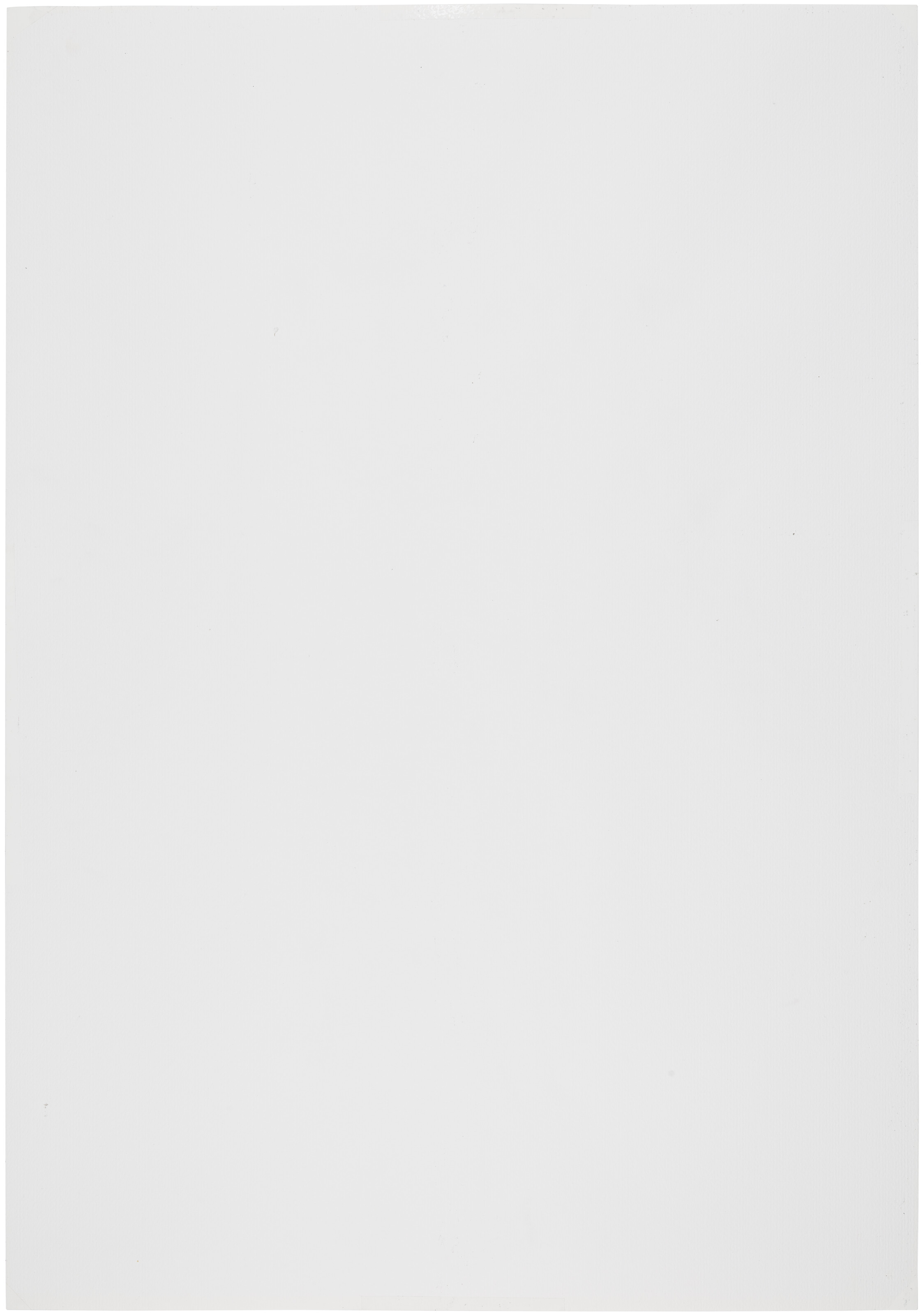 CARLOS ESTÉVEZ (B. 1969) image 3