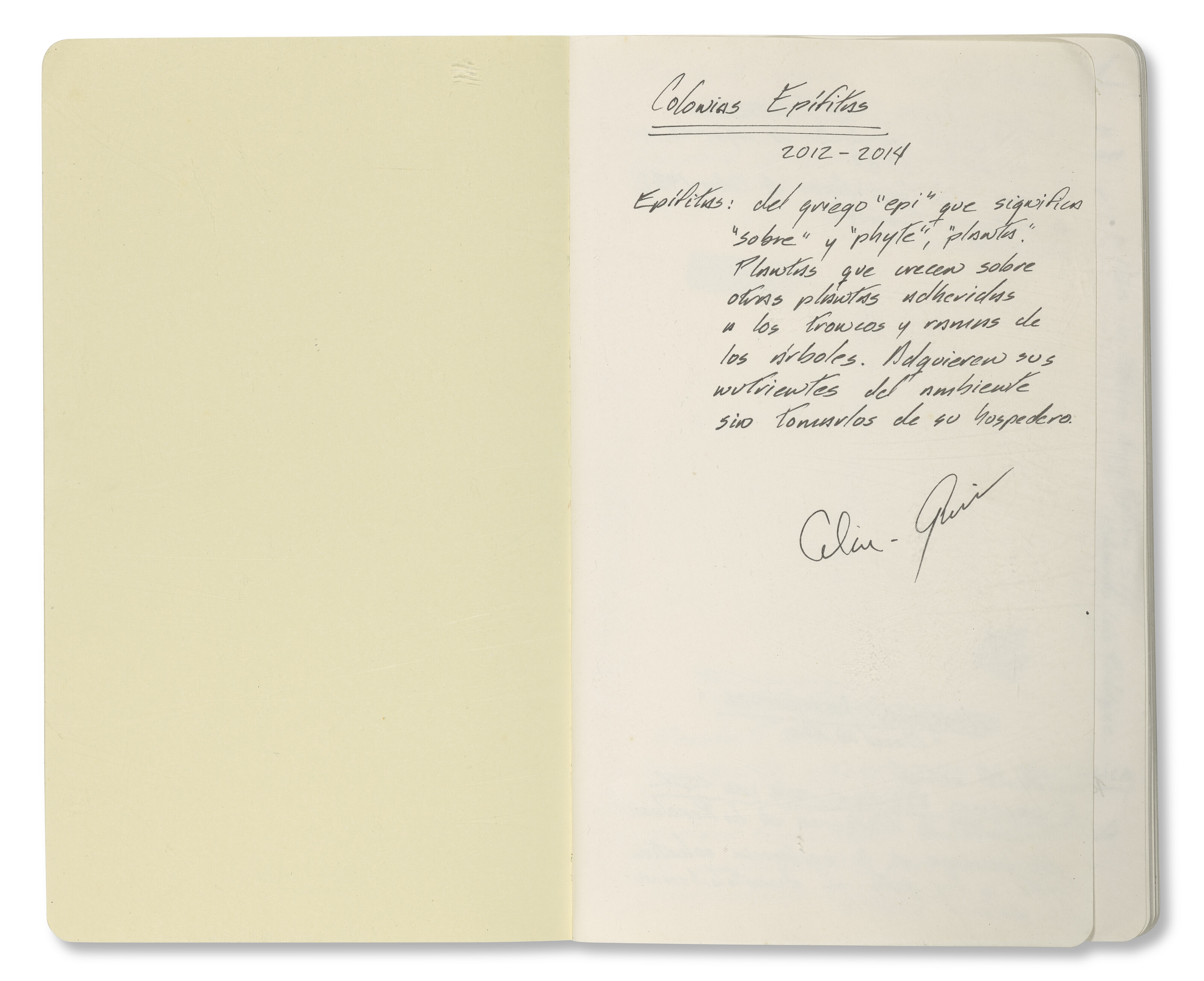 CELIA-YUNIOR (EST. 2004) image 2