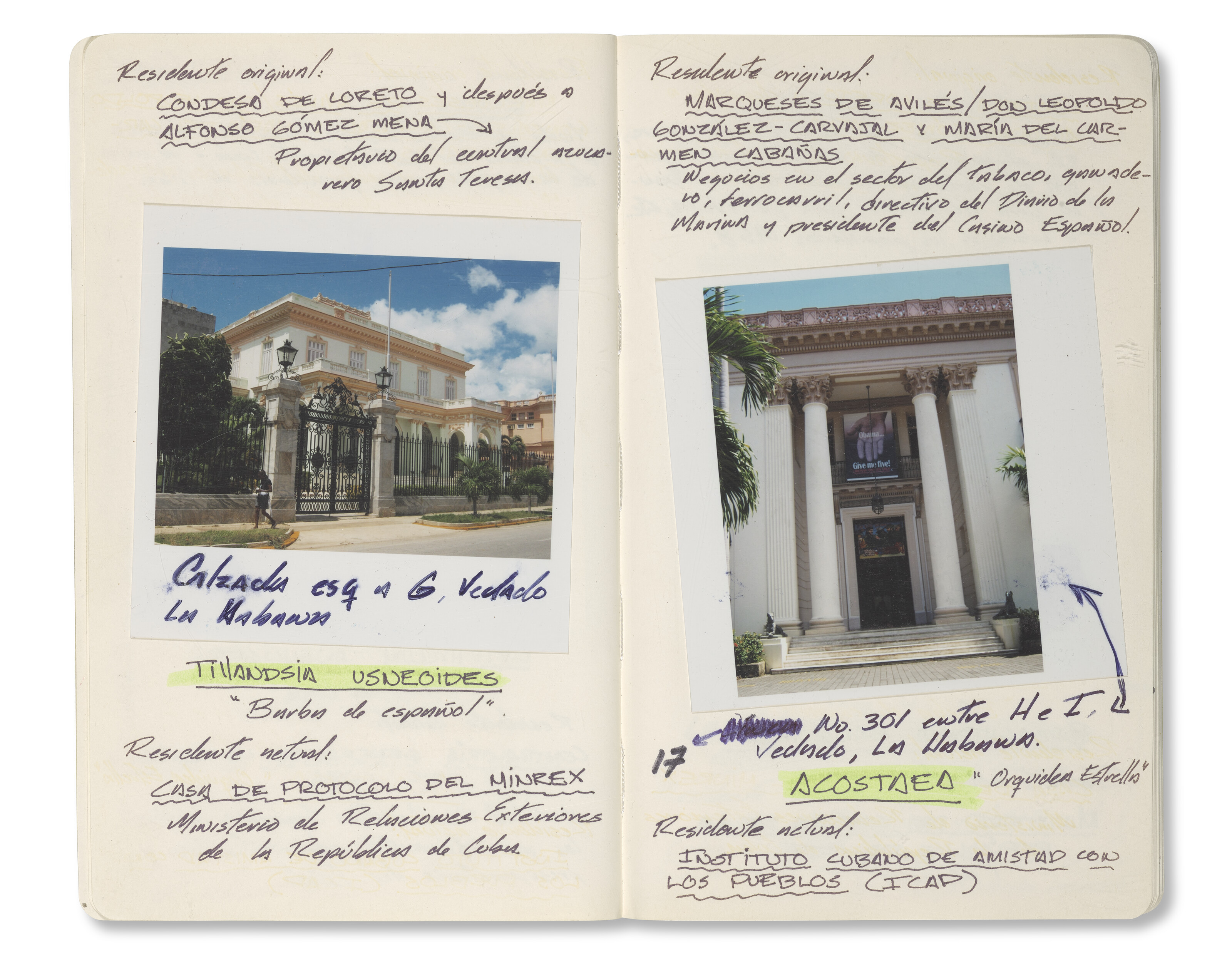 CELIA-YUNIOR (EST. 2004) image 4