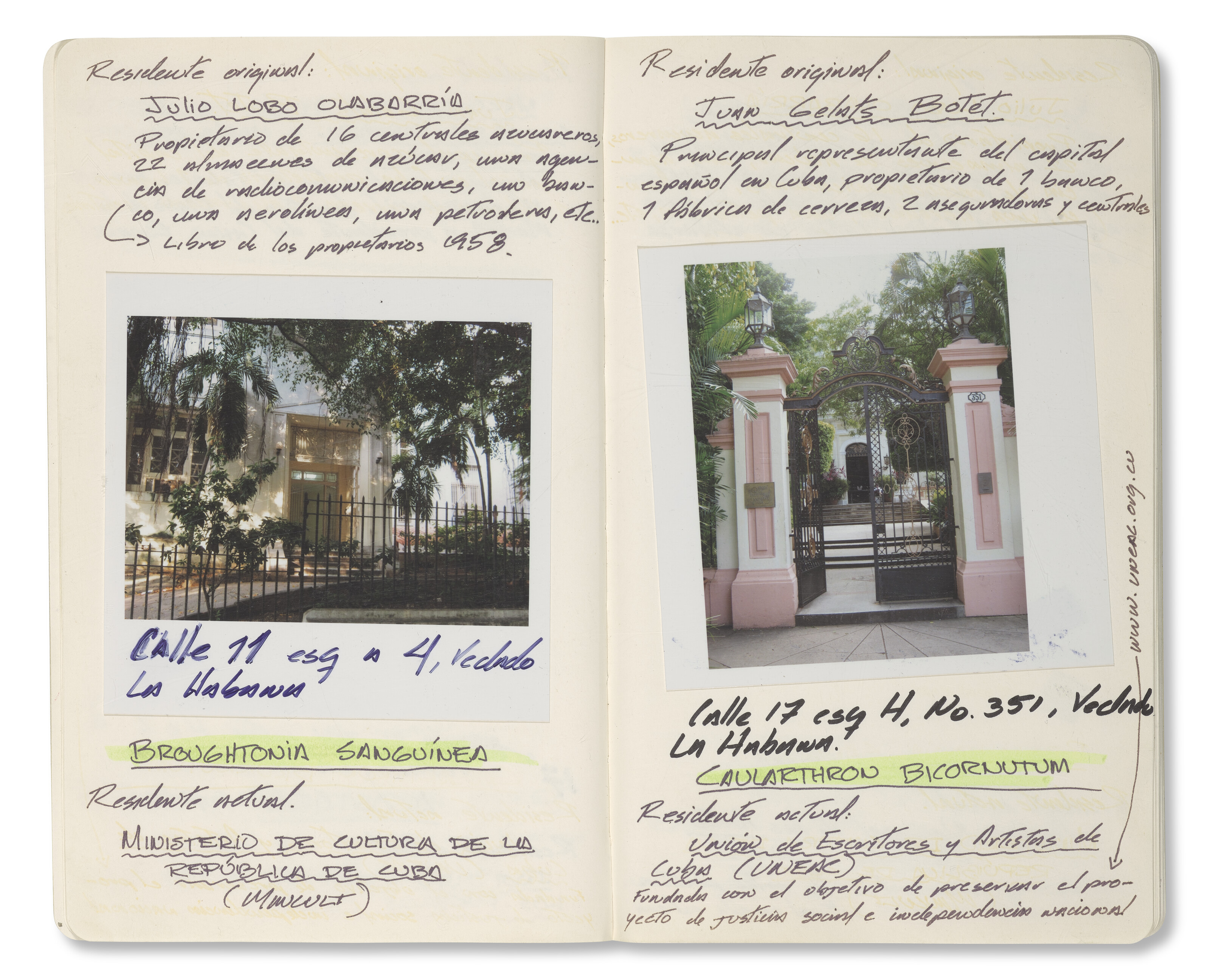 CELIA-YUNIOR (EST. 2004) image 5