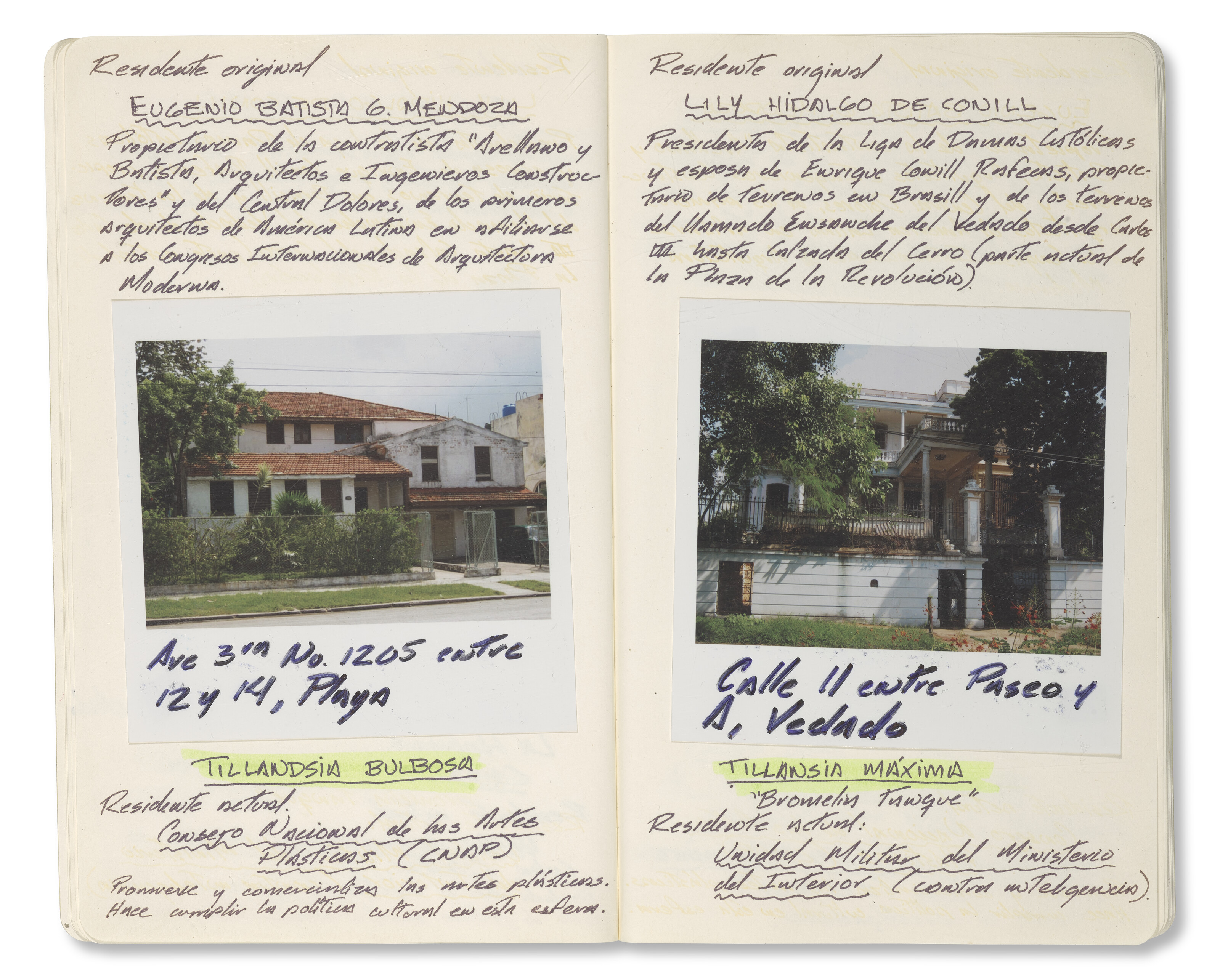 CELIA-YUNIOR (EST. 2004) image 6