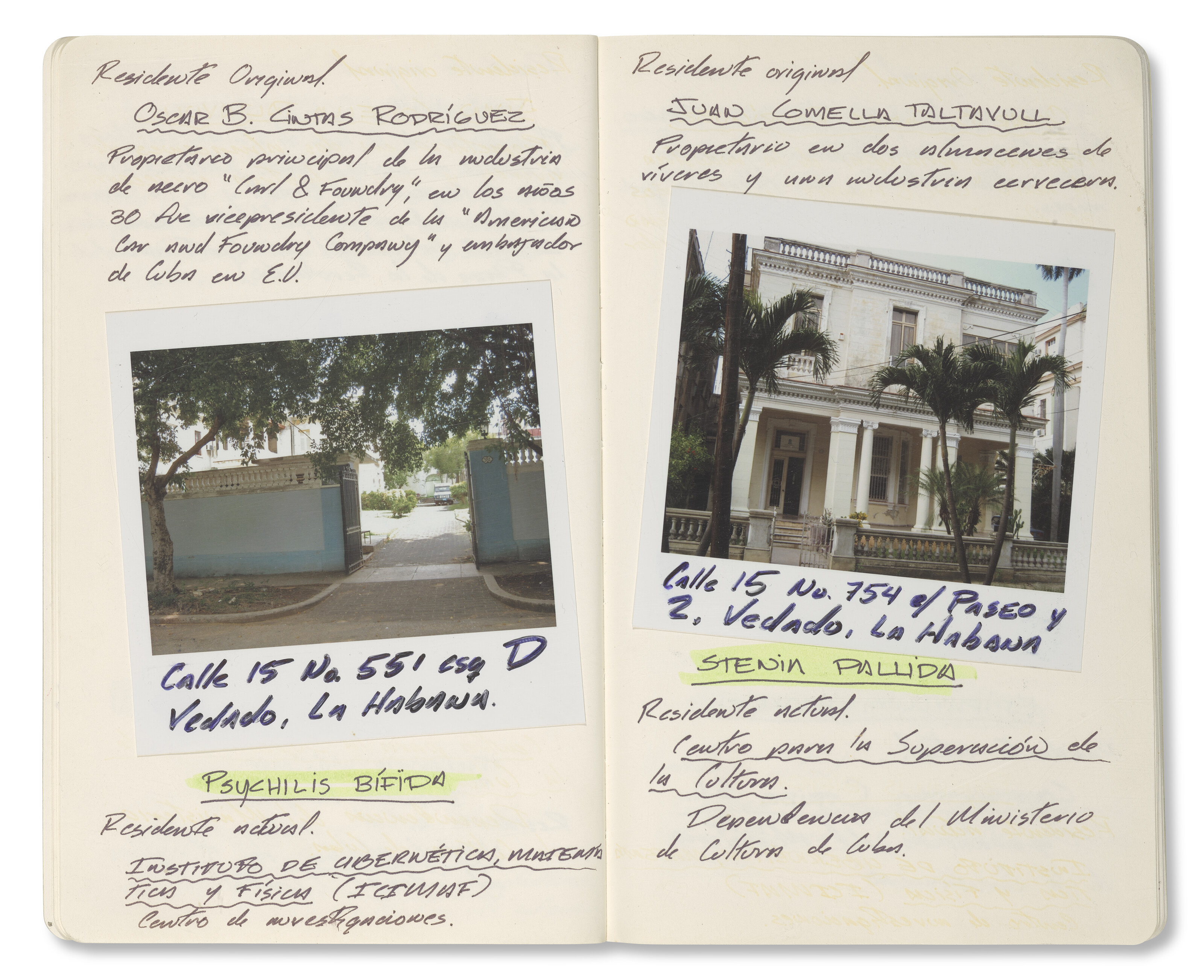 CELIA-YUNIOR (EST. 2004) image 7