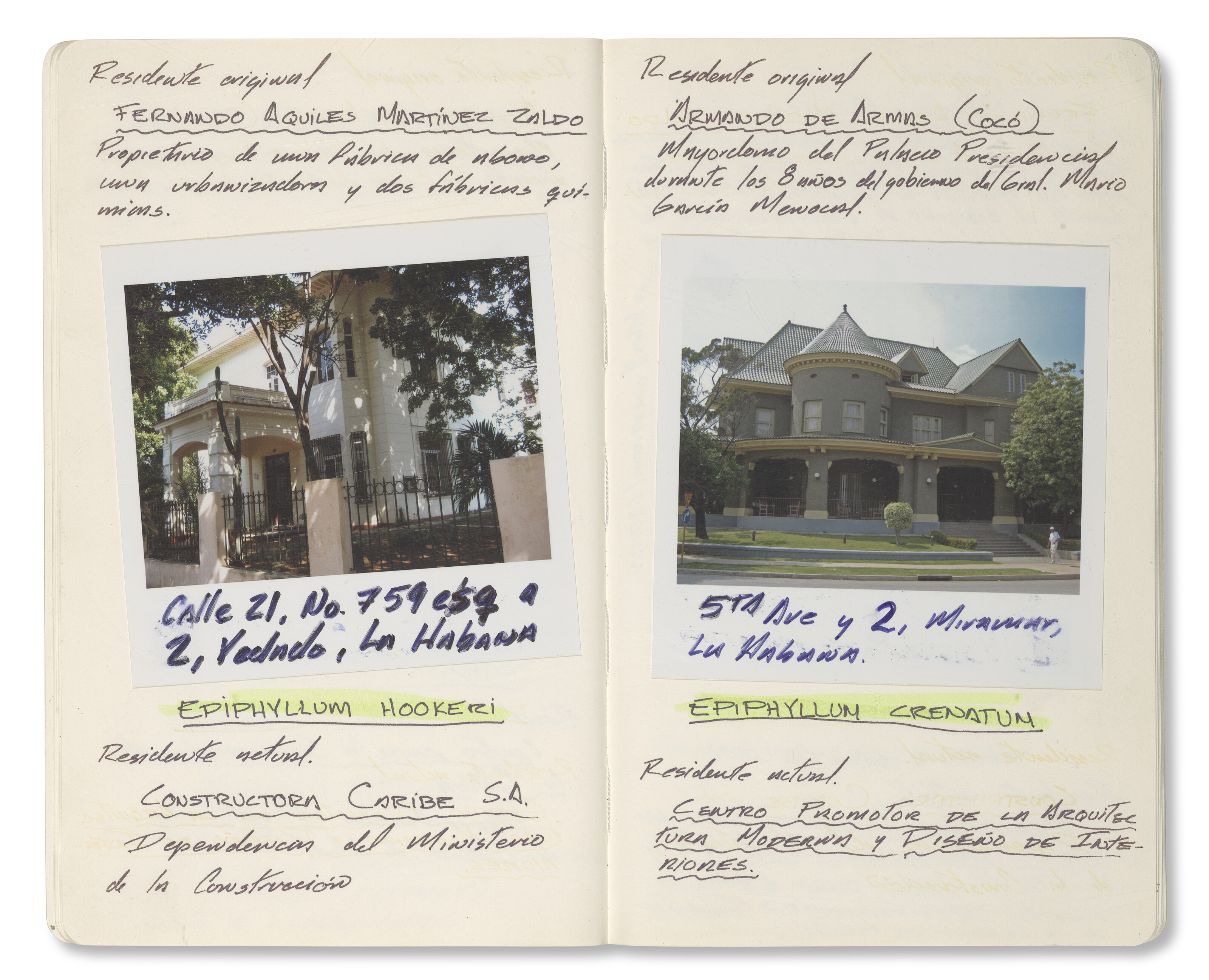 CELIA-YUNIOR (EST. 2004) image 8