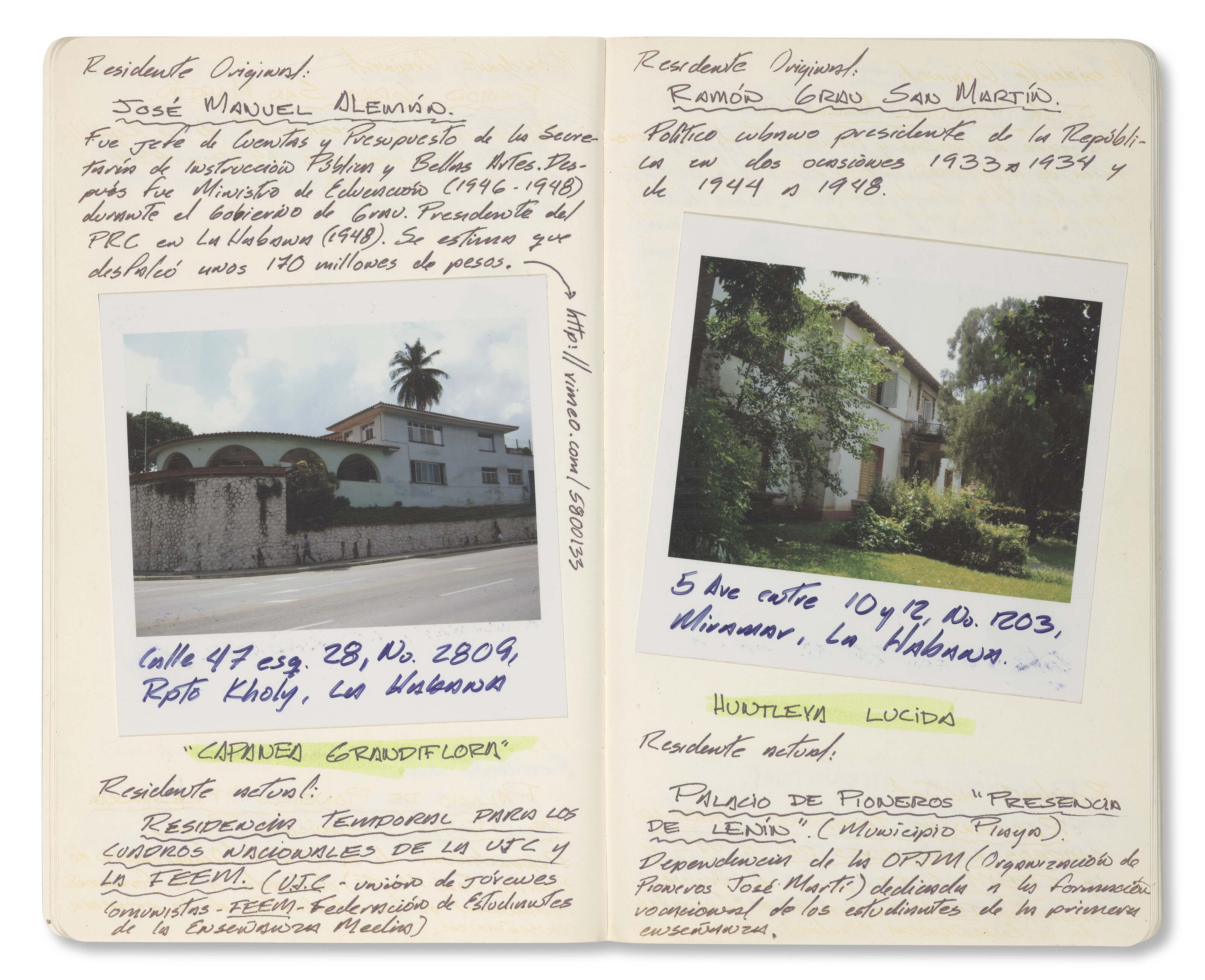 CELIA-YUNIOR (EST. 2004) image 9