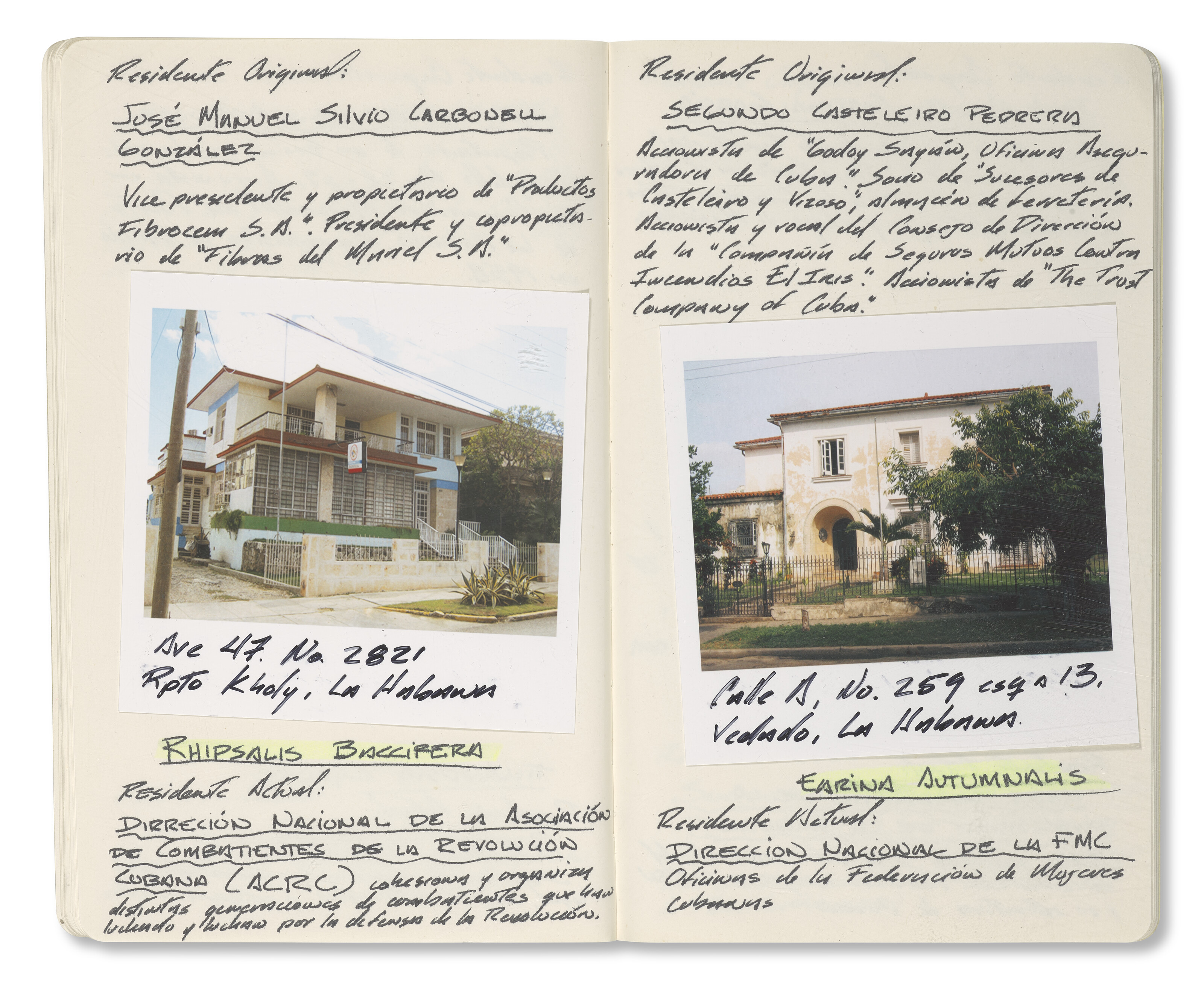 CELIA-YUNIOR (EST. 2004) image 10