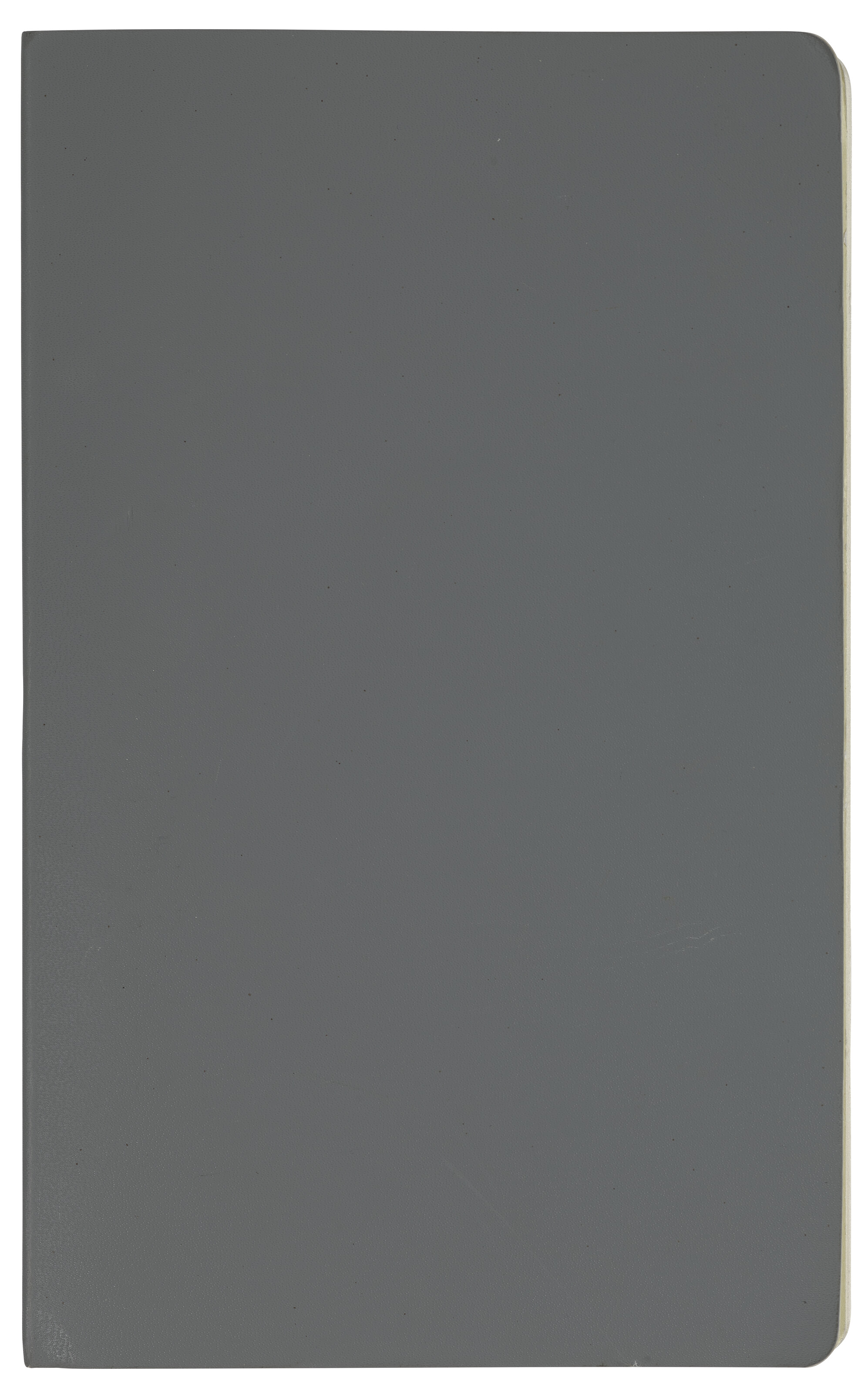 CELIA-YUNIOR (EST. 2004) image 11