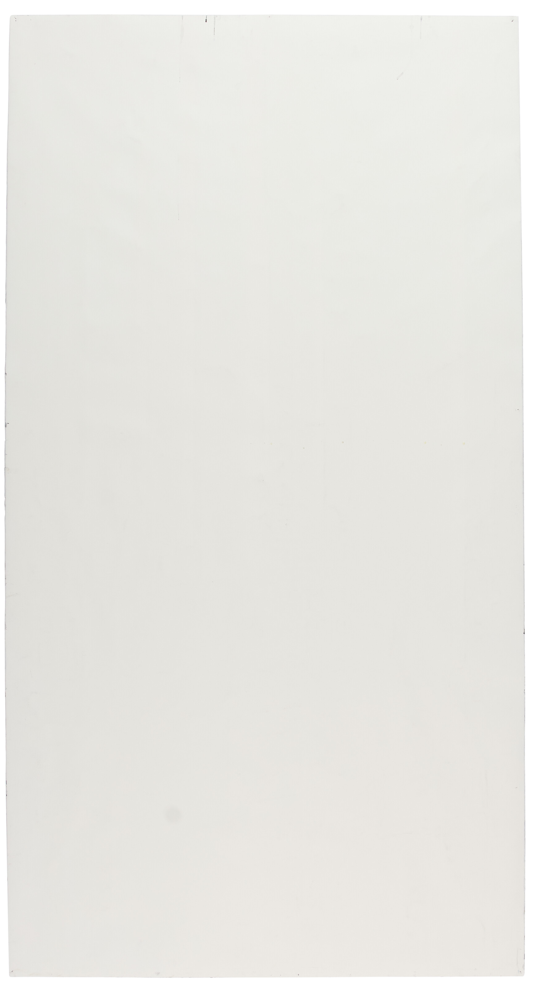 ALEXANDRE ARRECHEA (B. 1970) image 7