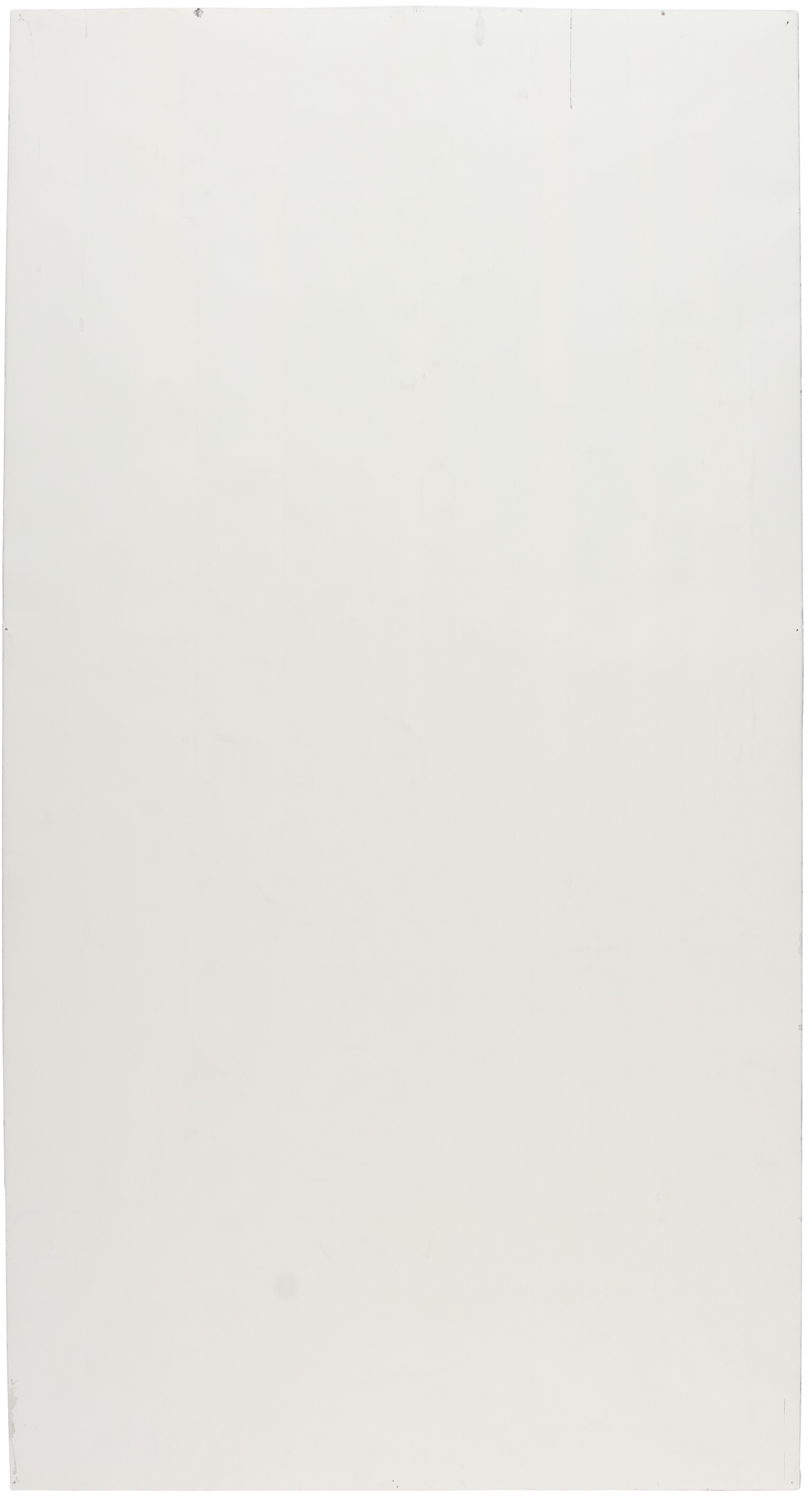 ALEXANDRE ARRECHEA (B. 1970) image 8