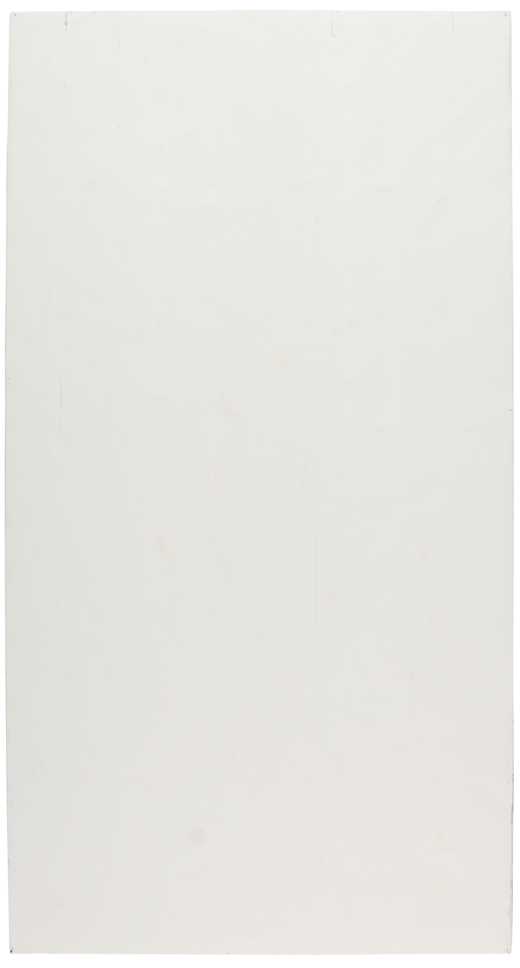 ALEXANDRE ARRECHEA (B. 1970) image 9