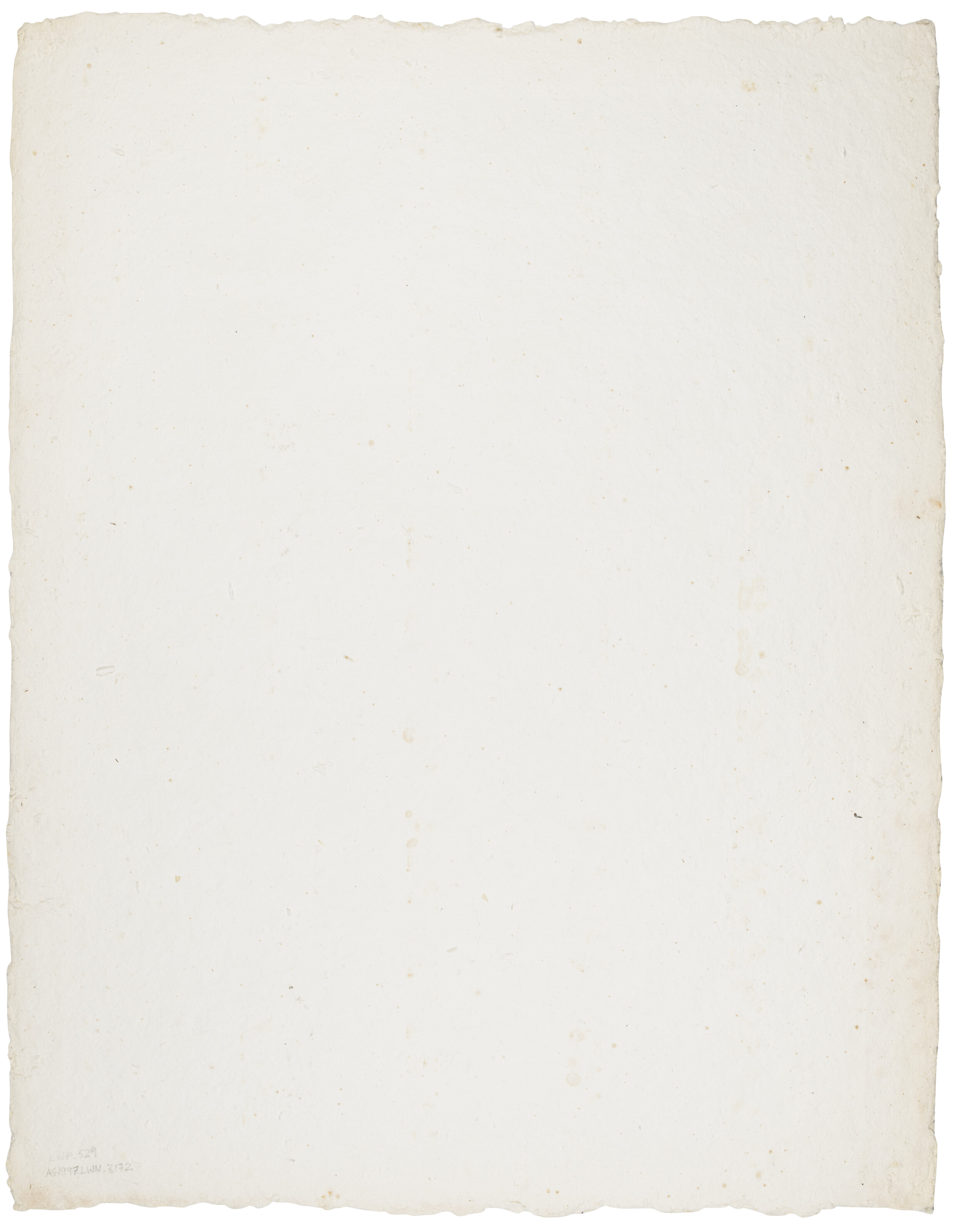 RUFINO TAMAYO (1899-1991) image 2