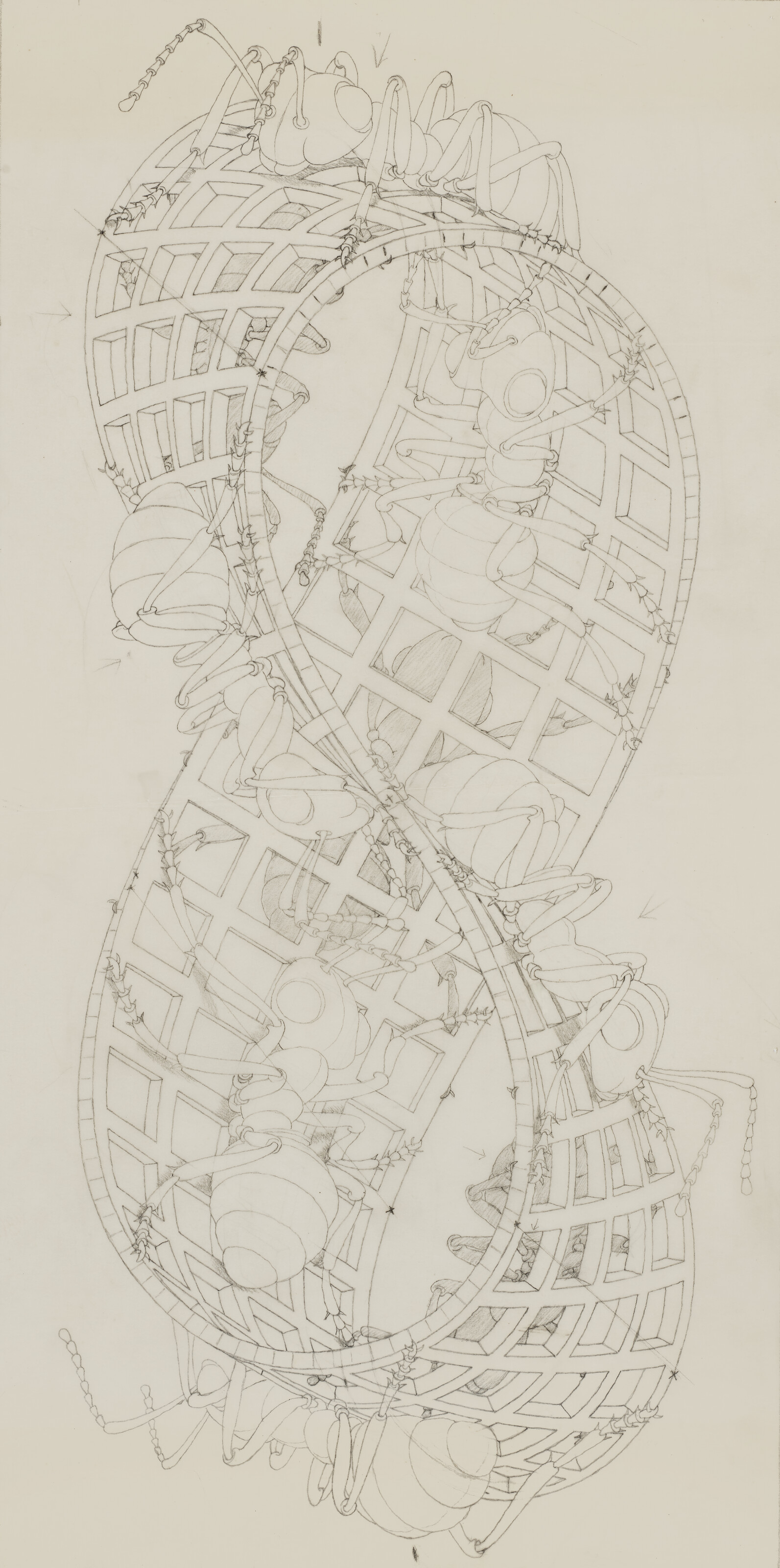 絵画 ECSTACY MAURITS CORNELIS ESCHER (1898-1972), Day and Night | Christie's