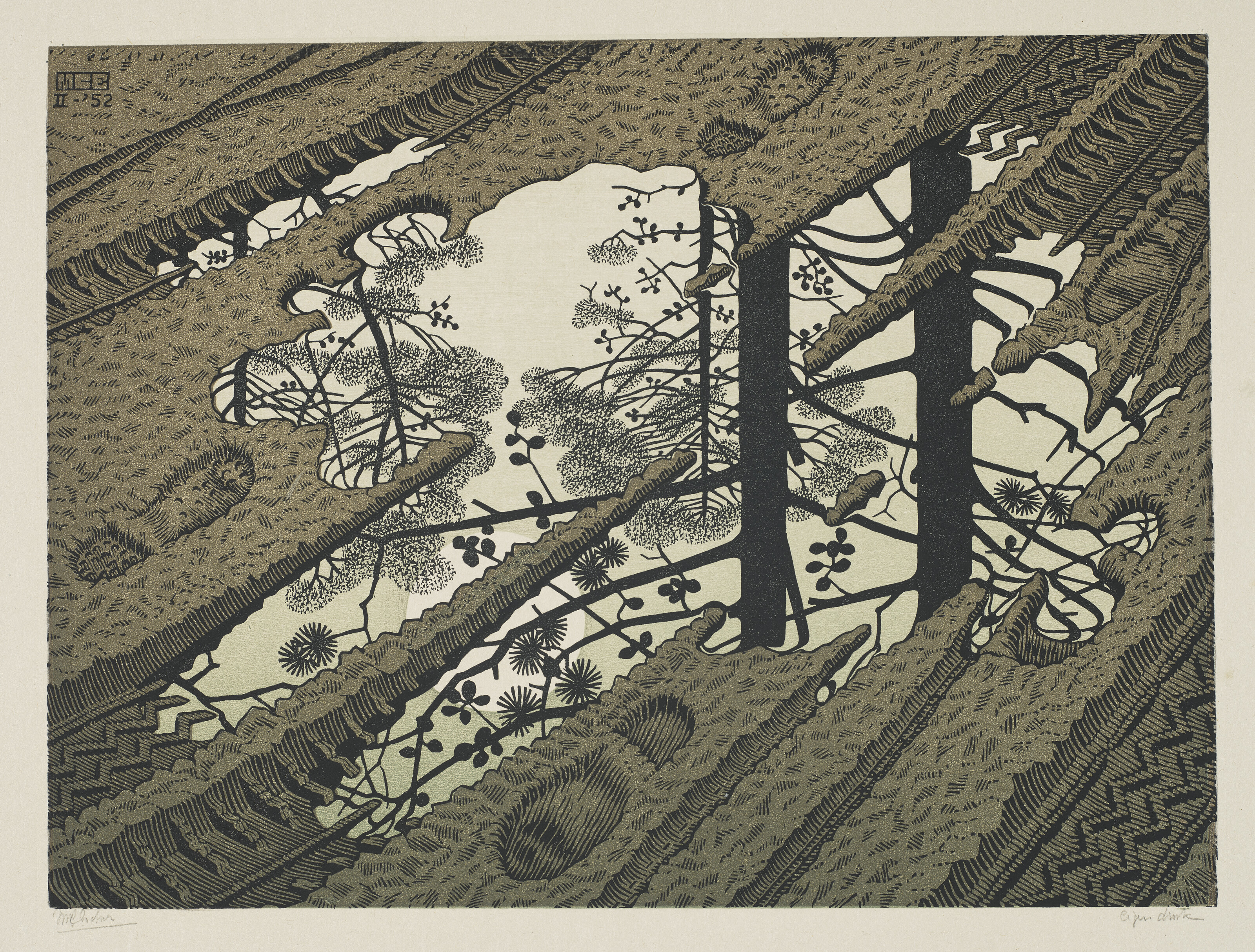 絵画 8969 MAURITS CORNELIS ESCHER (1898-1972), Puddle | Christie's