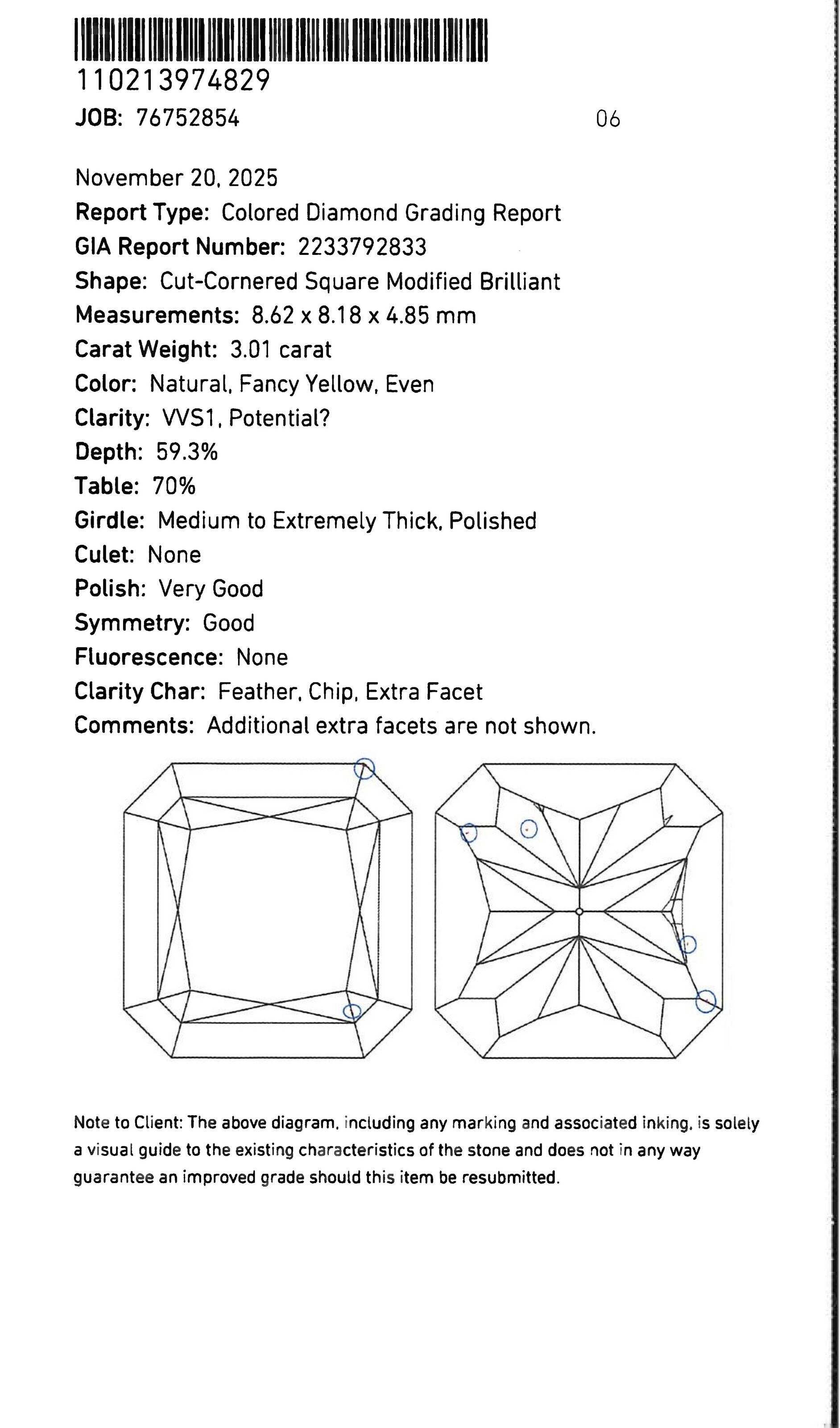 COLORED DIAMOND AND DIAMOND EARRINGS image 6