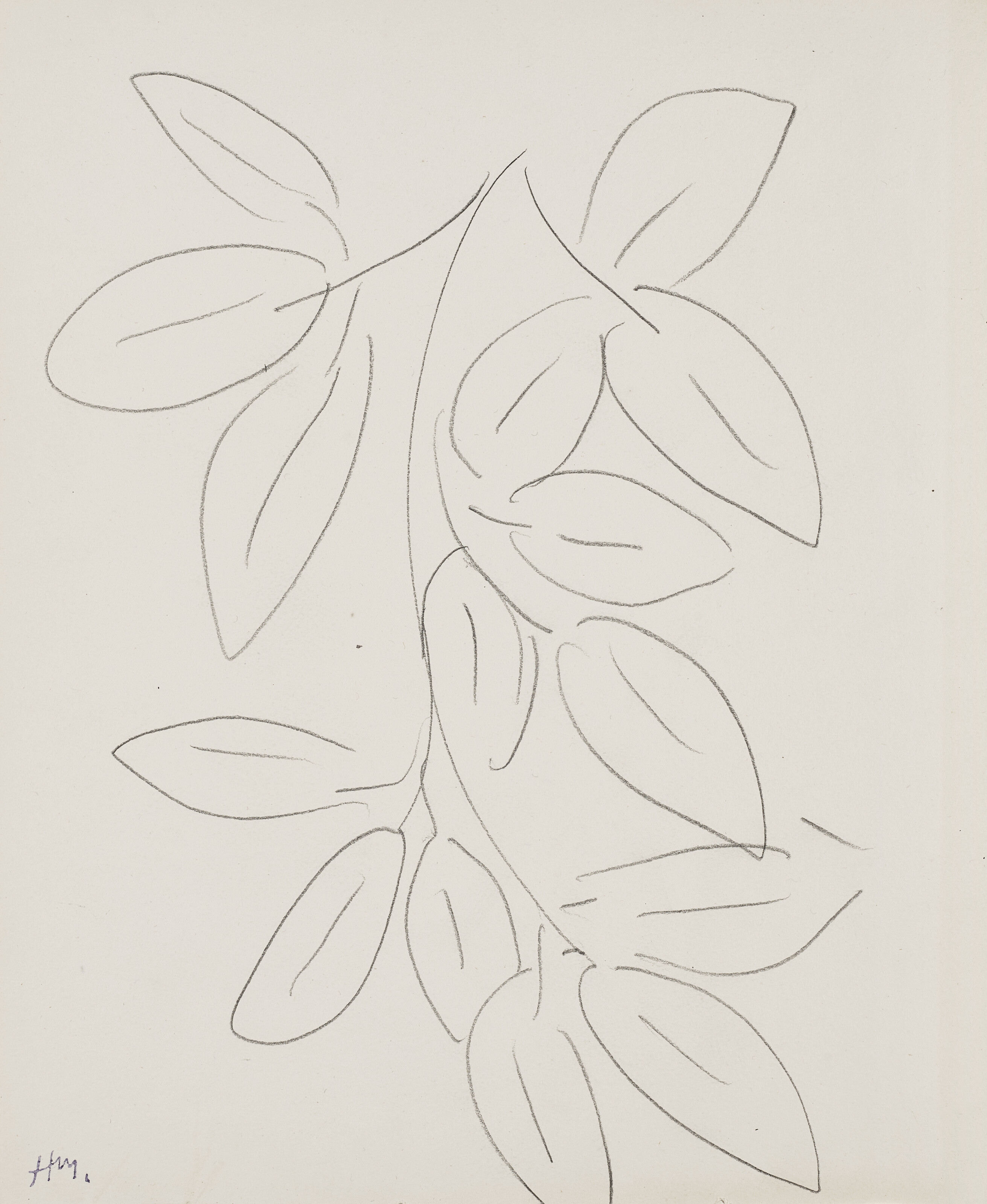 HENRI MATISSE (1869-1954), Feuilles | Christie's