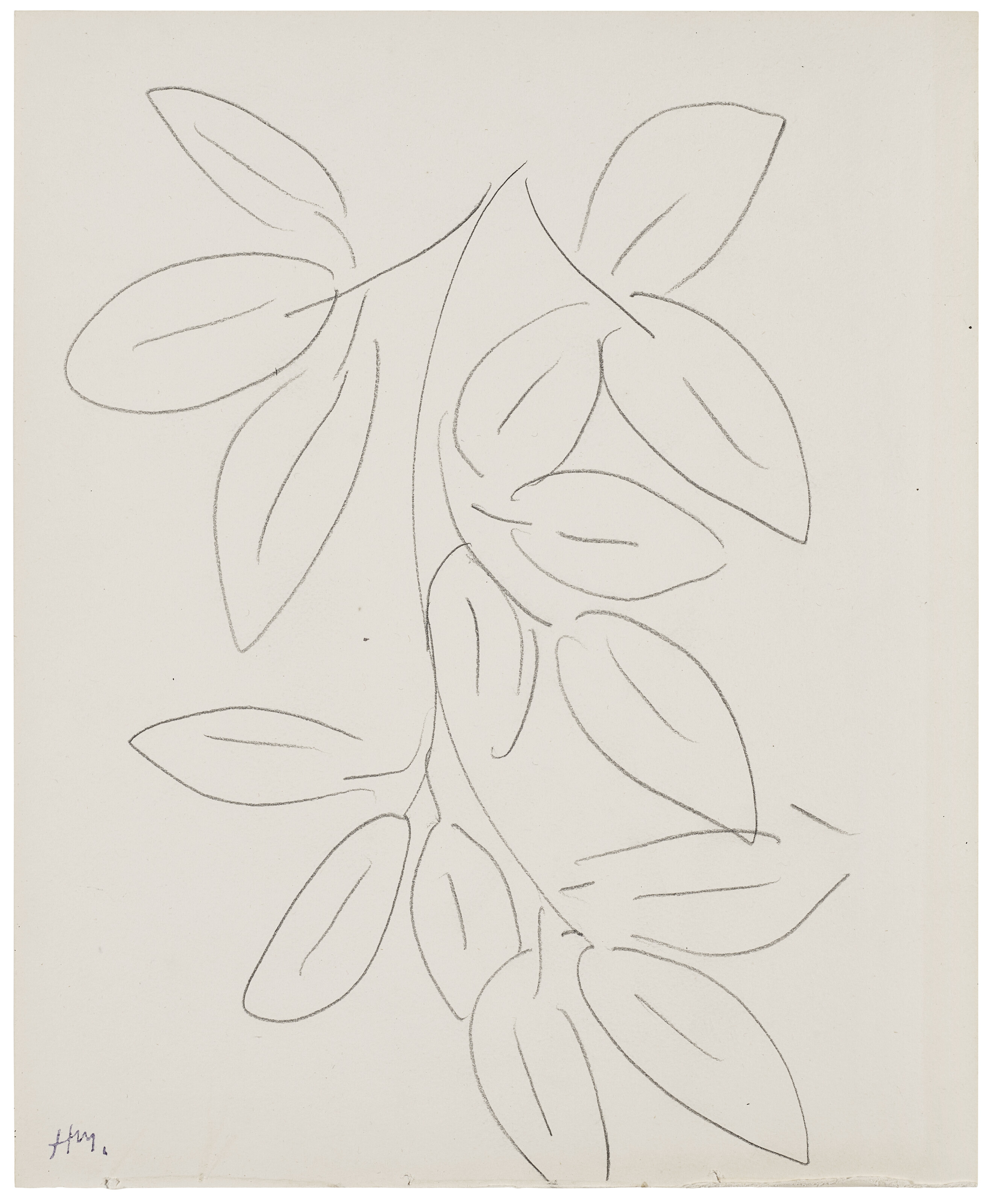 Matisse マティス Fleurs, Feuillages, Dessins HENRI MATISSE (1869-1954), Fleurs et feuilles | Christie's
