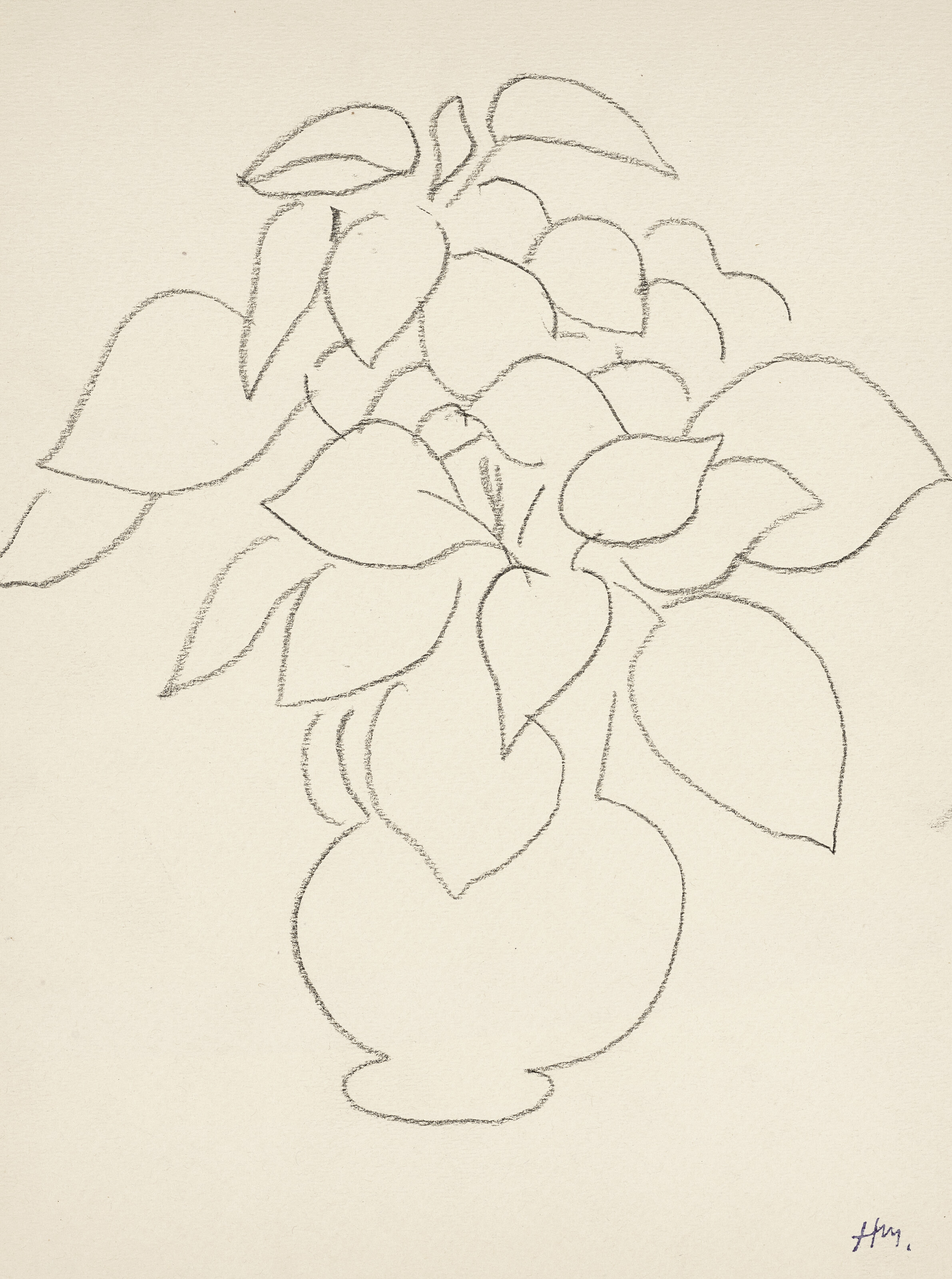 Matisse マティス Fleurs, Feuillages, Dessins Matisse マティス Fleurs, Feuillages, Dessins HENRI MATISSE