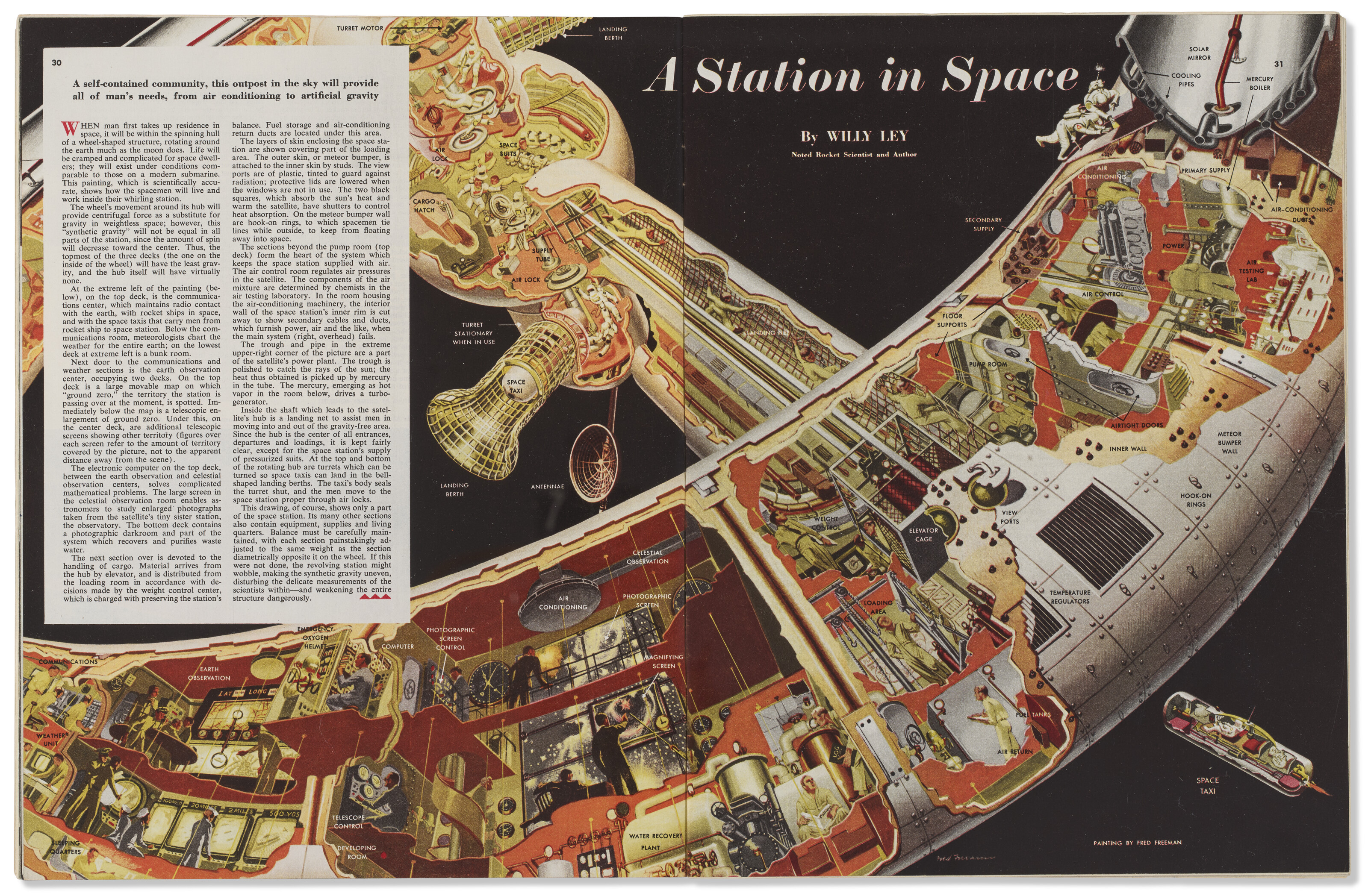 FRED FREEMAN (1907-1988) image 3