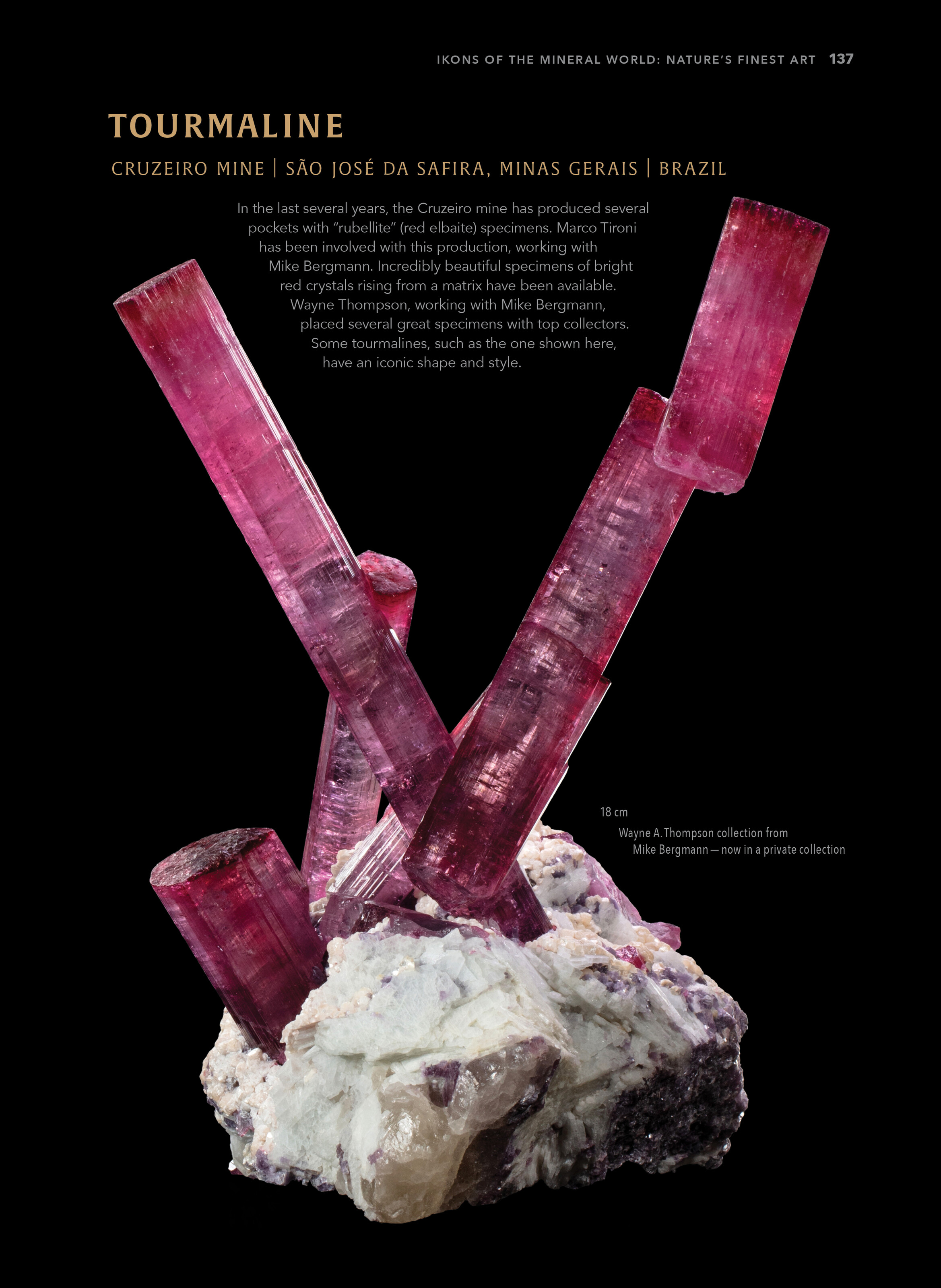RED TOURMALINE image 3