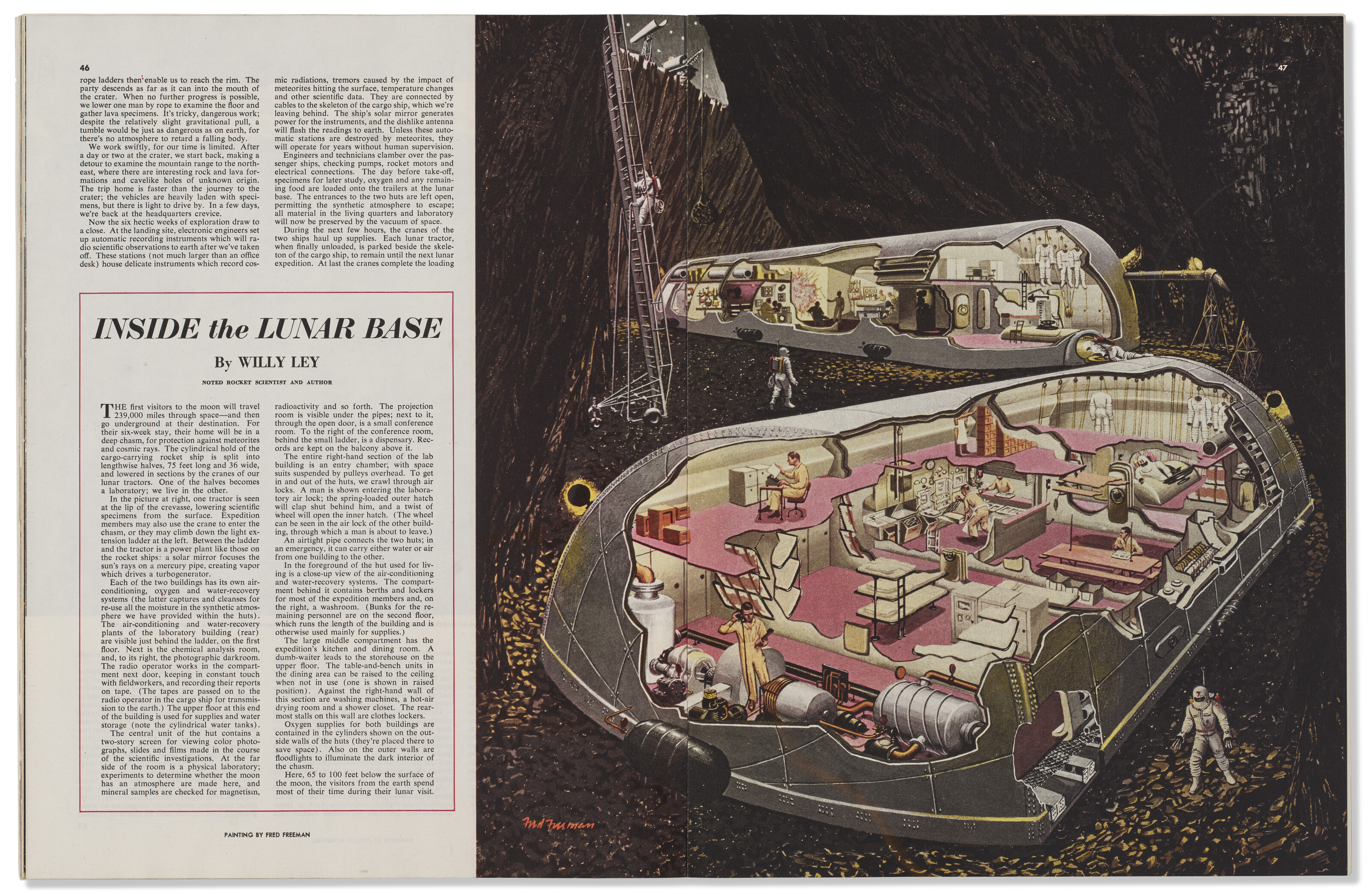 FRED FREEMAN (1907-1988) image 3