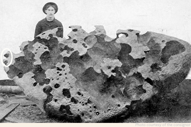 WILLAMETTE METEORITE — A COMPLETE SLICE OF THE MOST FAMOUS METEORITE IN THE WORLD image 4