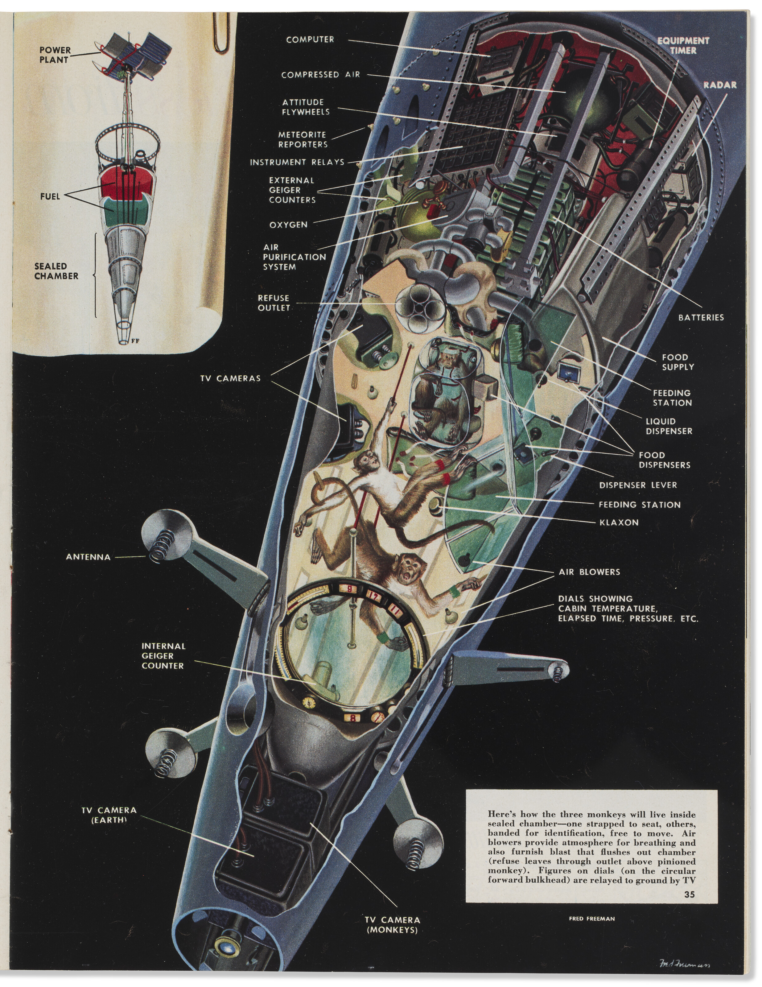 FRED FREEMAN (1907-1988) image 3