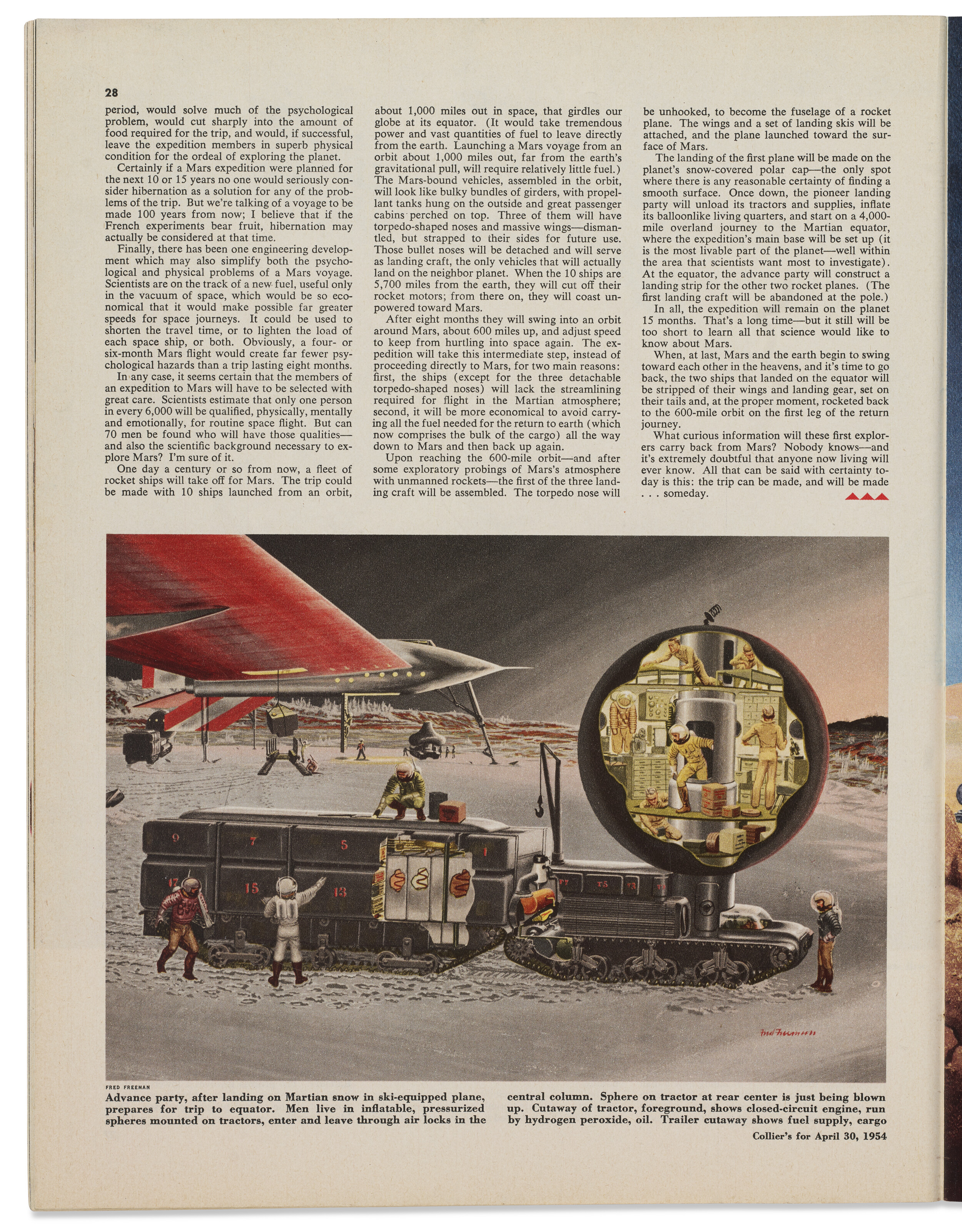 FRED FREEMAN (1907-1988) image 6