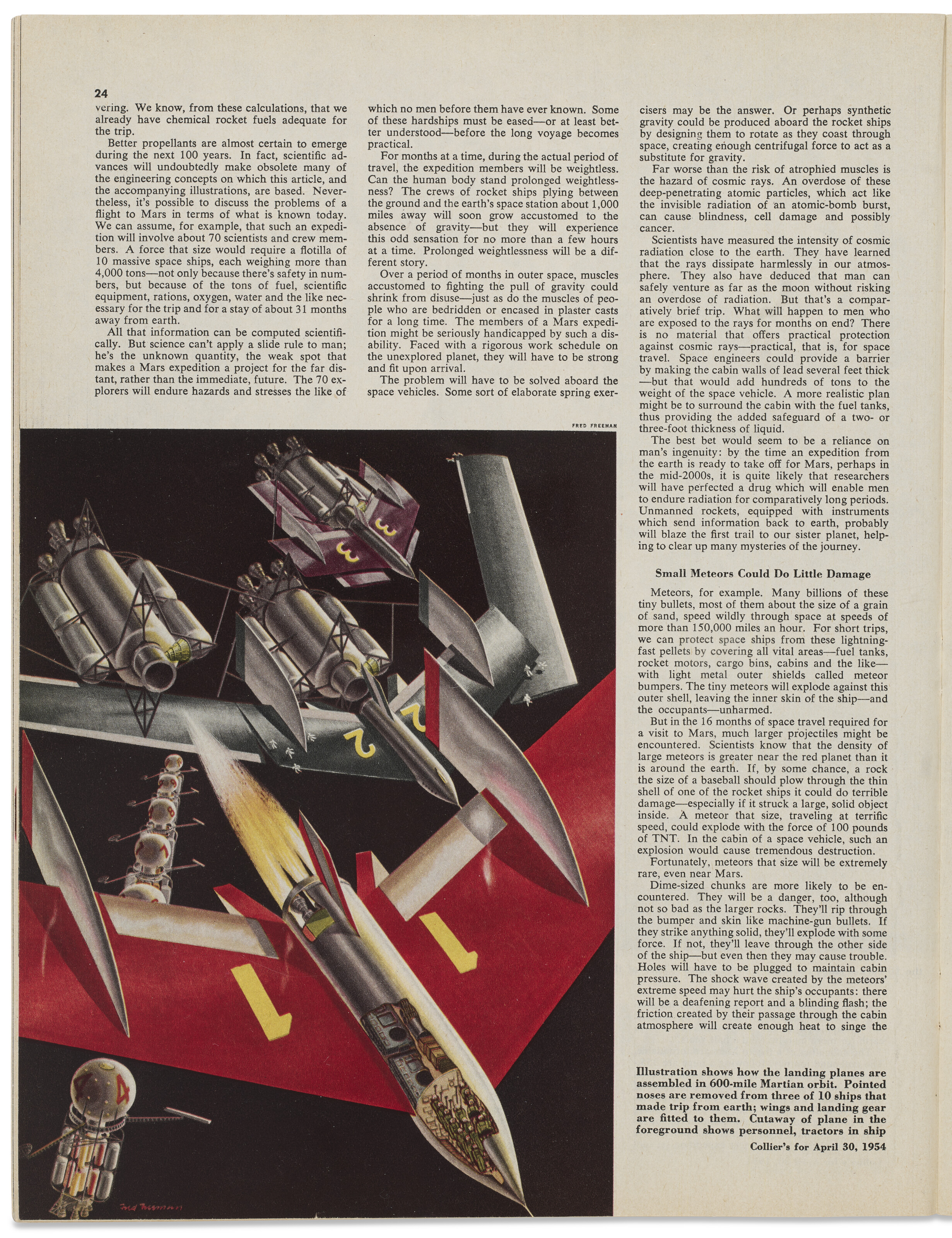 FRED FREEMAN (1907-1988) image 7