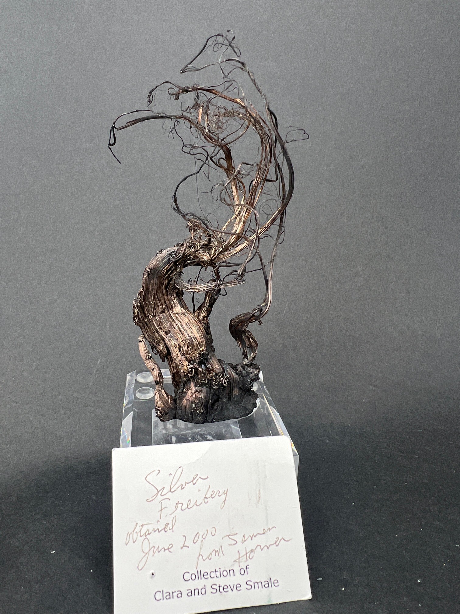 SPECIMEN OF NATIVE SILVER image 2