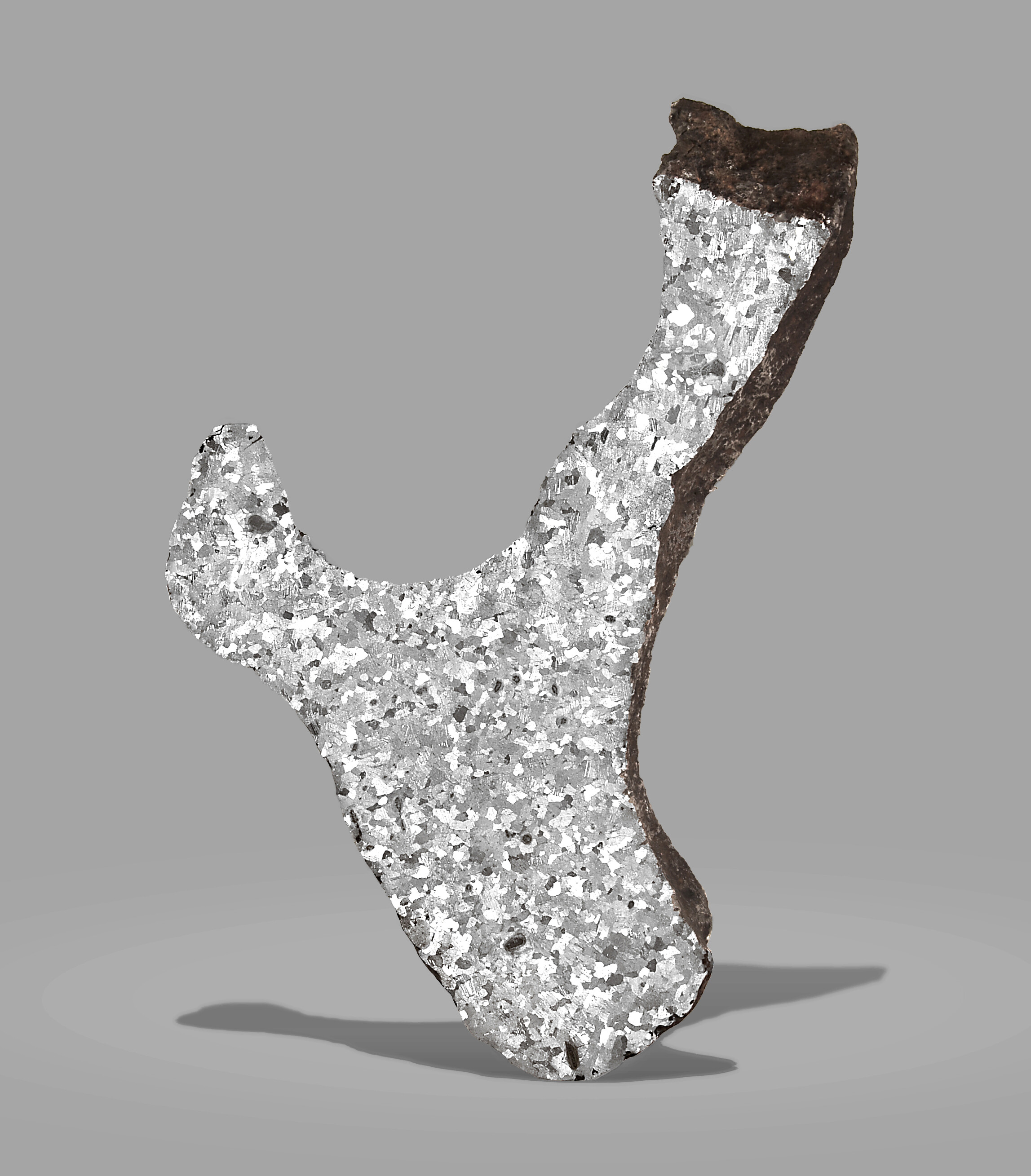 THICK SLAB OF WORLD’S MOST FAMOUS METEORITE — WILLAMETTE image 2