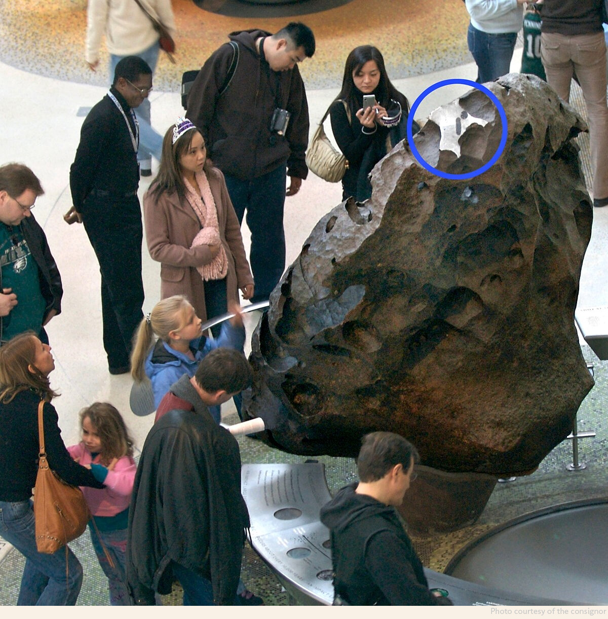 THICK SLAB OF WORLD’S MOST FAMOUS METEORITE — WILLAMETTE image 4