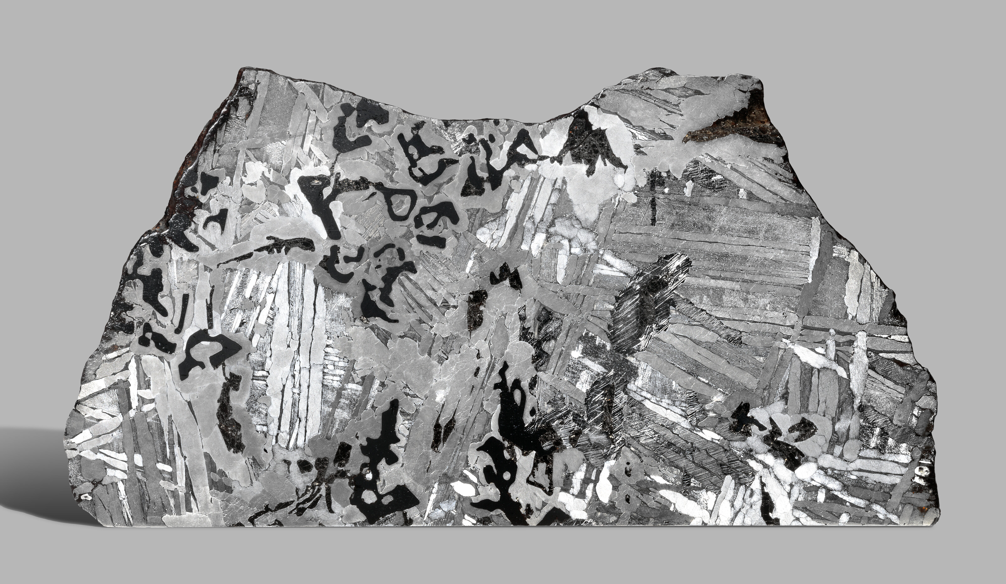 THICK SLAB OF WORLD'S MOST FAMOUS METEORITE — WILLAMETTE, Iron