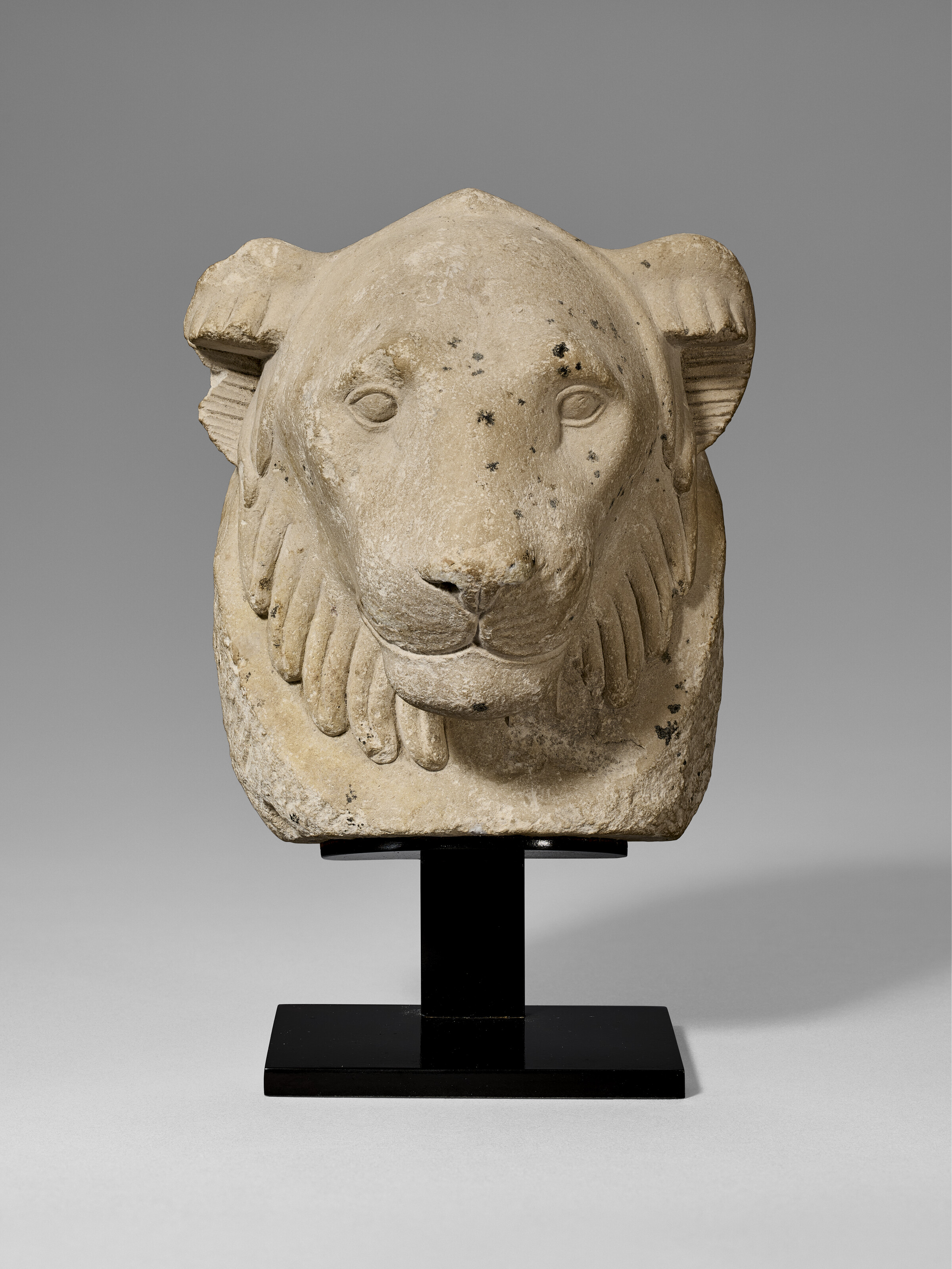 An Egyptian limestone lion-head sculptor’s model. Late period, 30th dynasty, to early Ptolemaic period, circa 380-300 B.C., offered in Ancient Wonders: Antiquities and Natural History, until 1 July 2026 at Christie's Online