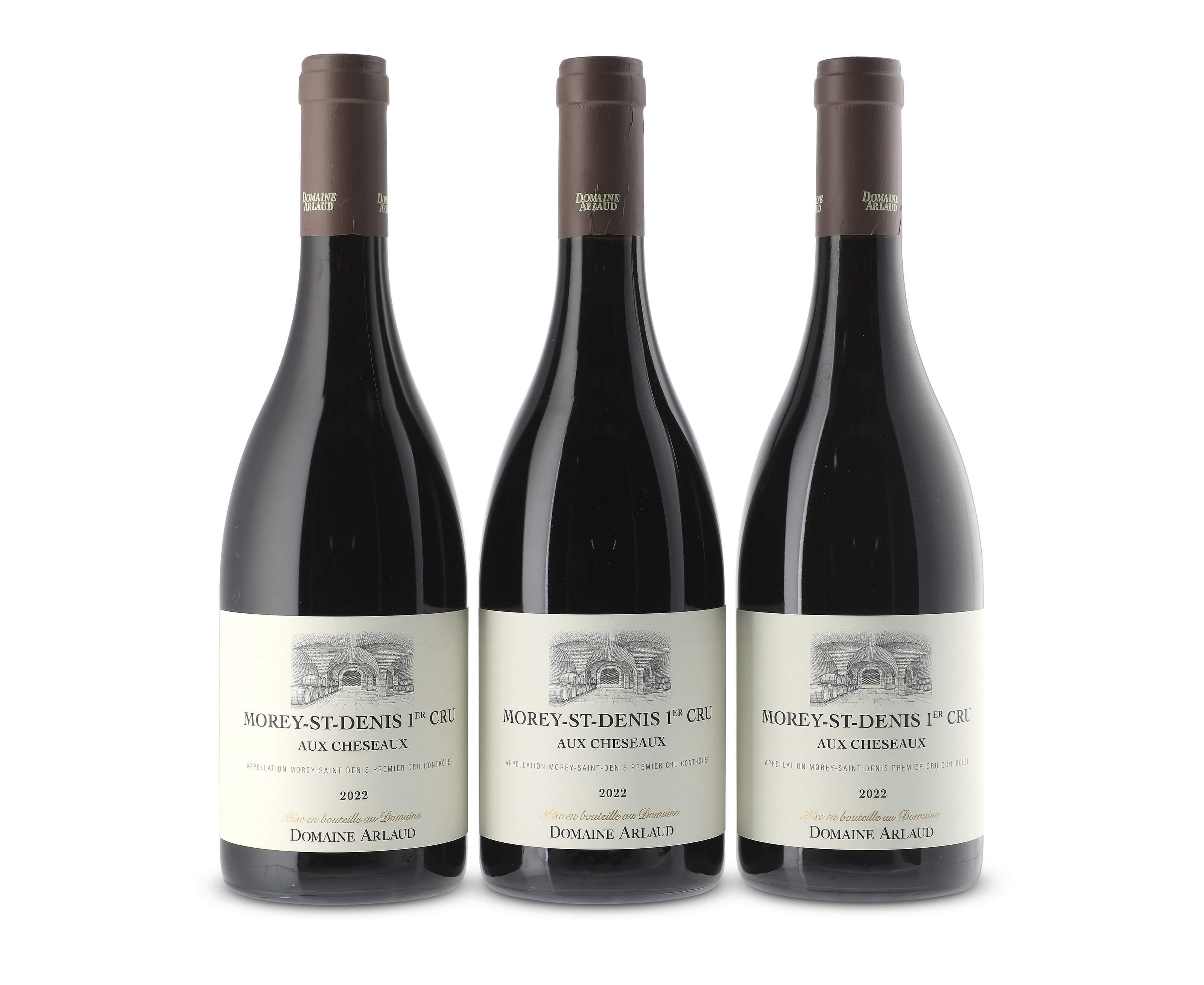 Domaine Arlaud, Morey-Saint-Denis, Aux Cheseaux 2022, Côte de