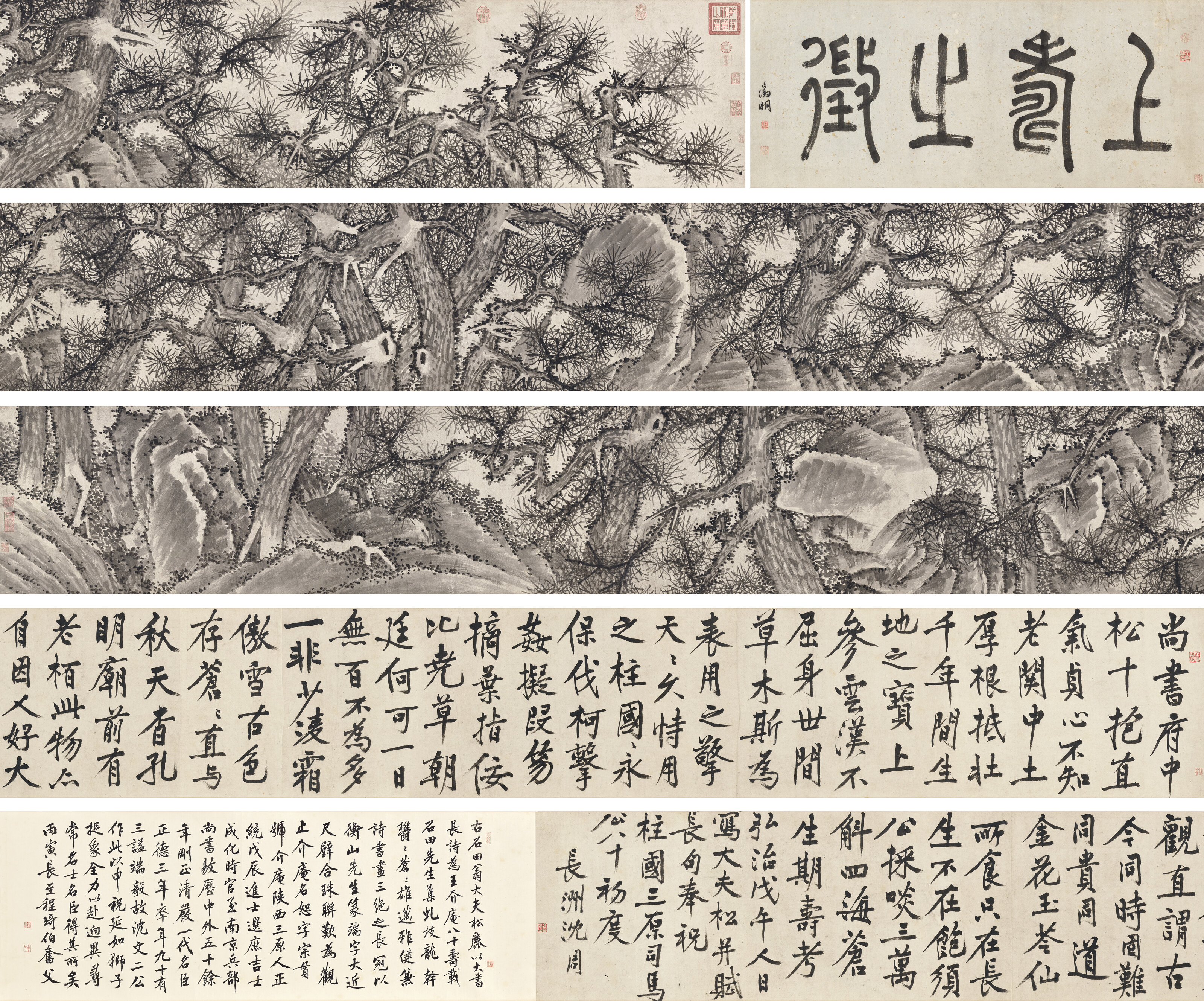 明　沈周（1427-1509），《大夫松书画卷》。水墨纸本　手卷　一四九八年作。画：46.5 x 787公分（18 ¼ x 309 ⅞ 英寸）。书法：46.5 x 463.5公分（18 ¼ x 182 ½英寸）。估价：港元10,000,000-18,000,000。此拍品将于2026年10月27日在佳士得香港中国古代书画拍卖中呈献