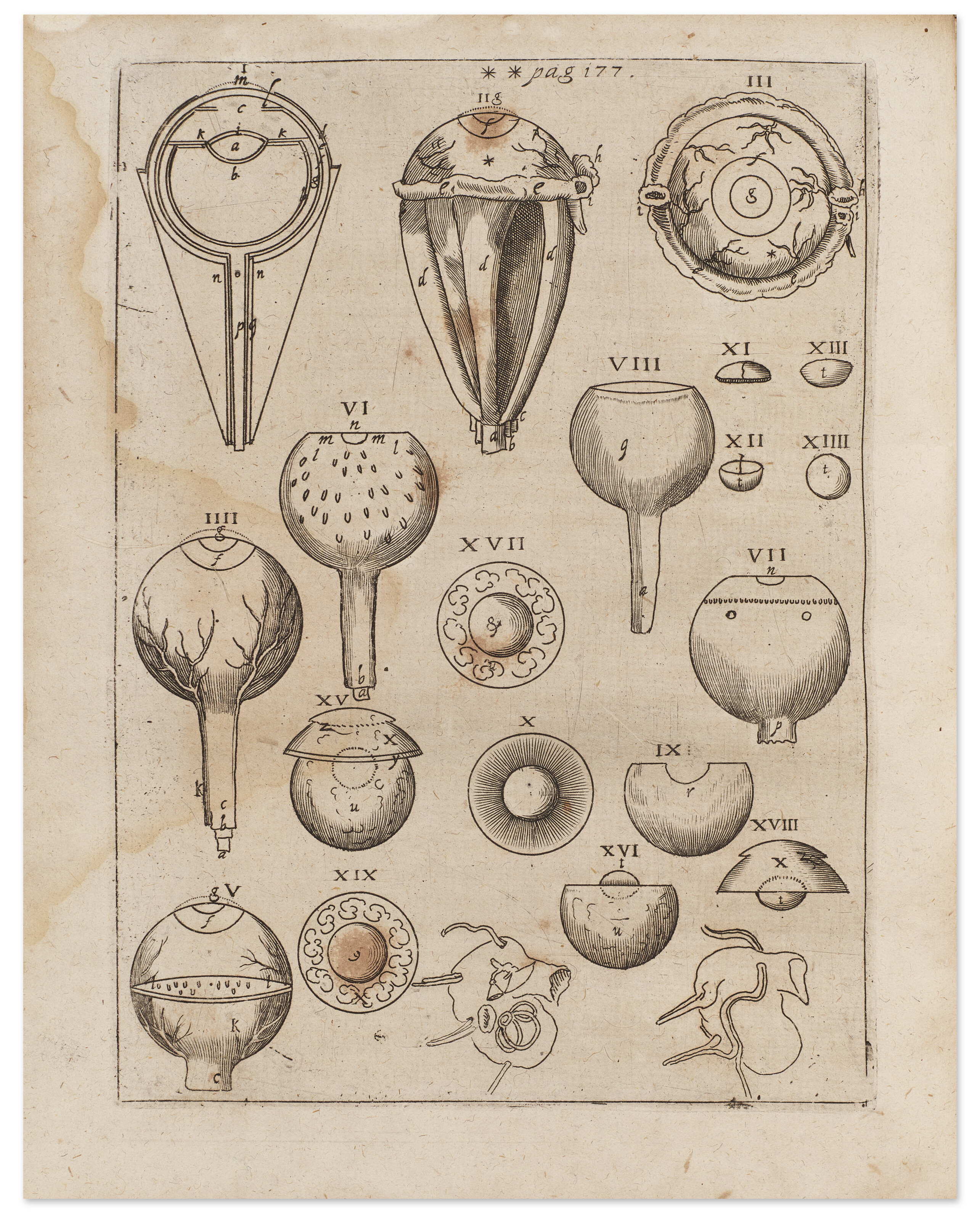 Ad Vitellionem paralipomena, quibus astronomiae pars optica traditur ...