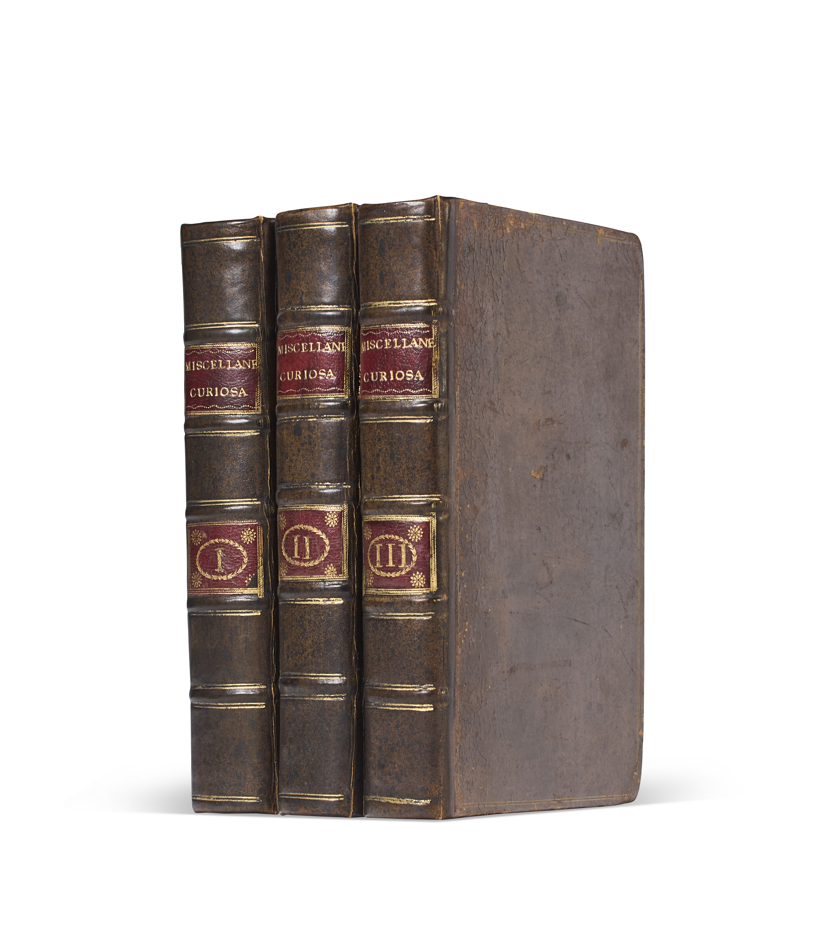 Catalog image of Edmund Halley, and other members of the Royal Society, 1726