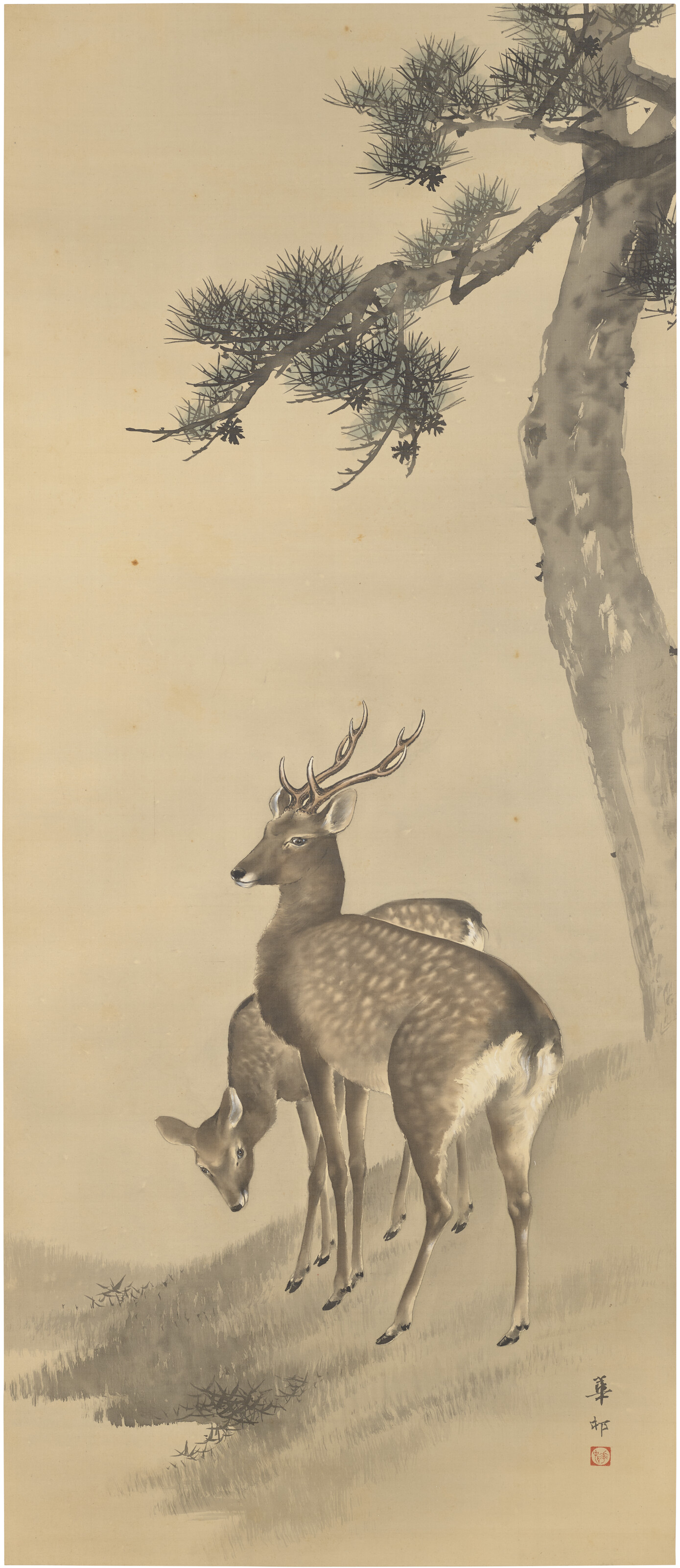 SUZUKI KASON (1860-1919), Deer under pine tree | Christie's