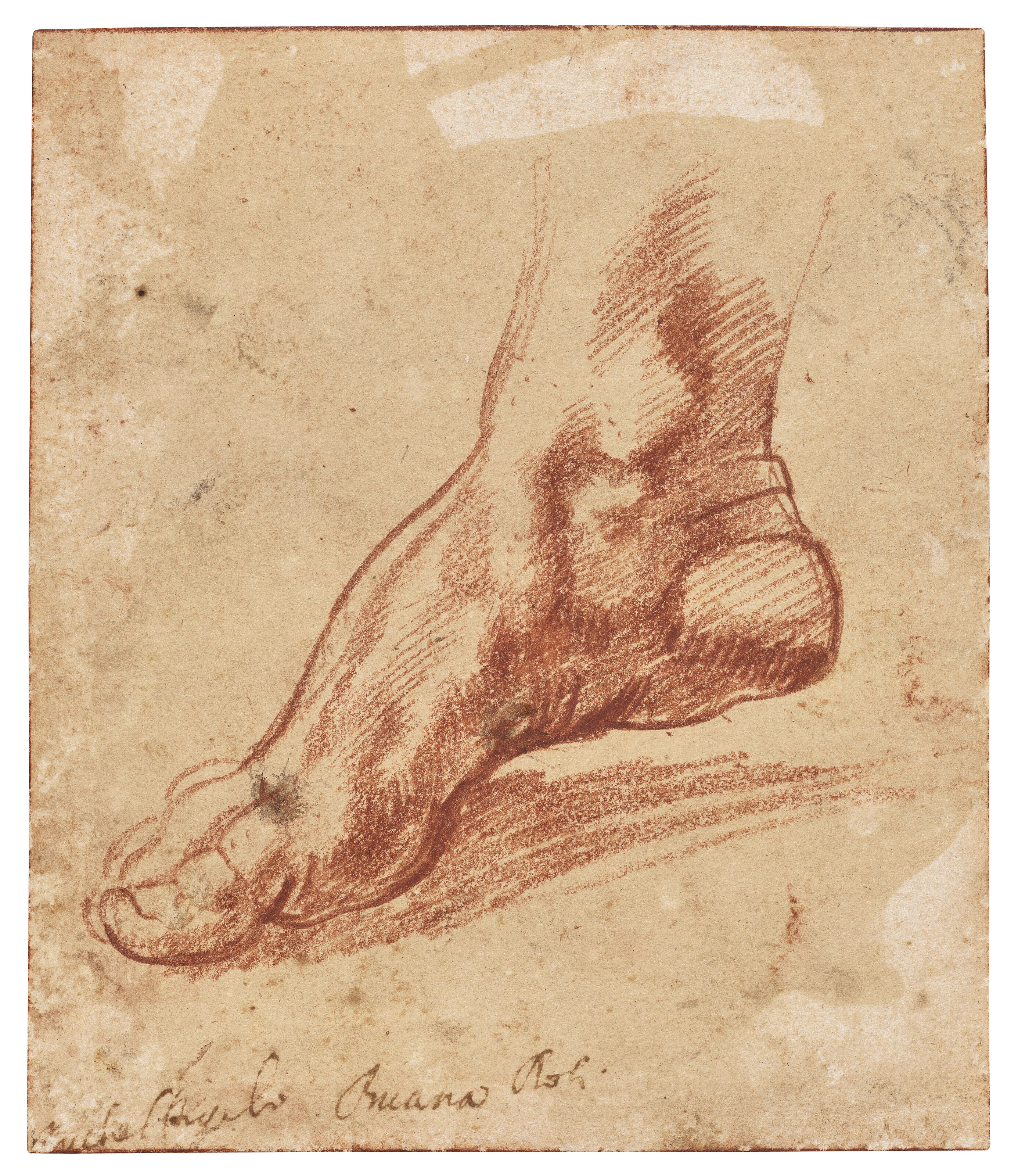Michelangelo Buonarroti (Caprese 1475-1564 Rome) | Study for a foot of the Libyan Sibyl (recto); Study of a leg with knee bent (verso) | Giada Damen, Ph.D. | AVP, Specialist, Head of Sale | Price realised USD 27,200,000 | Estimate USD 1,500,000 – USD 2,000,000