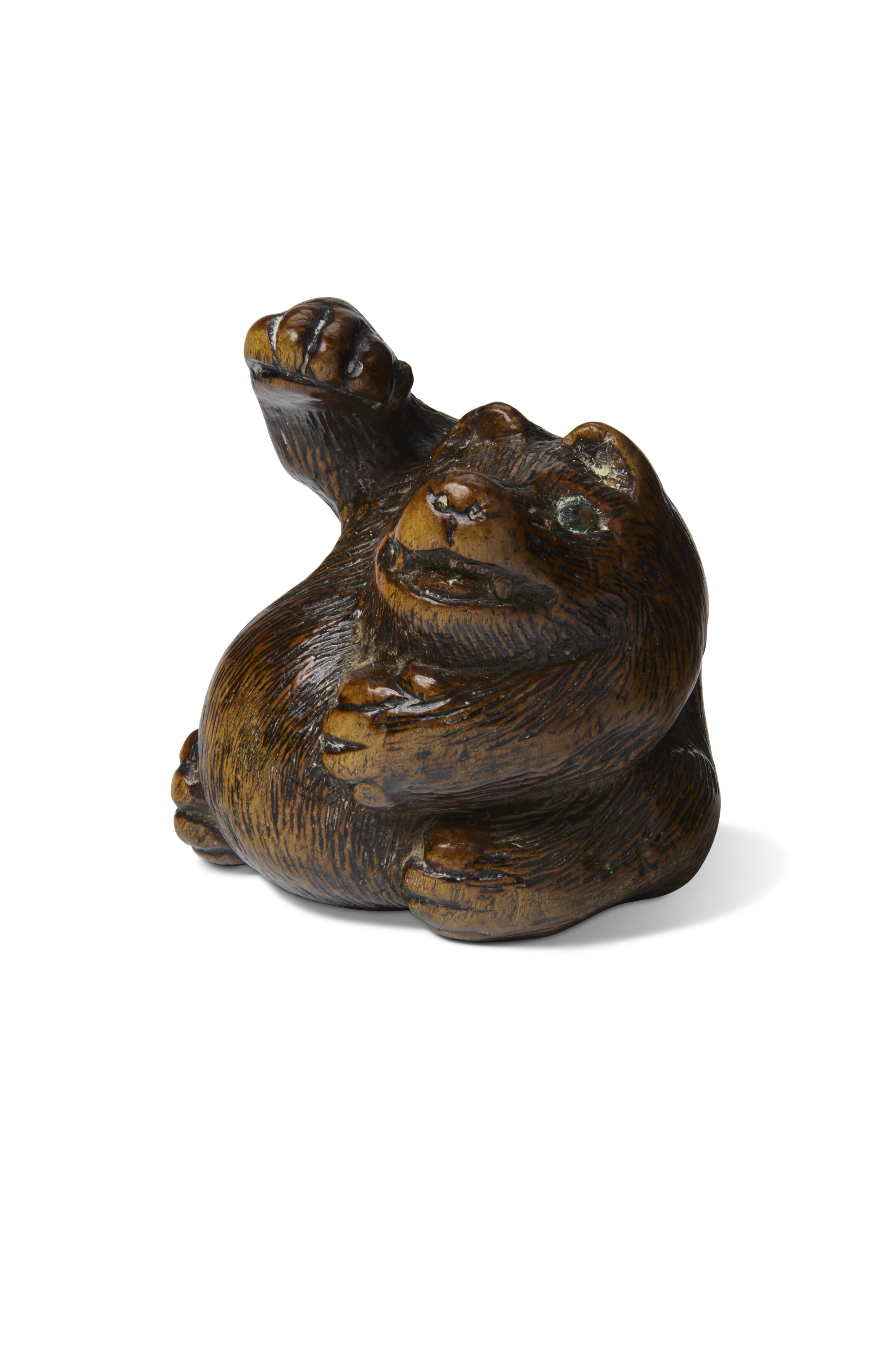 A CARVED WOOD SCULPTURE NETSUKE OF A BADGER WITH RAISED PAW
