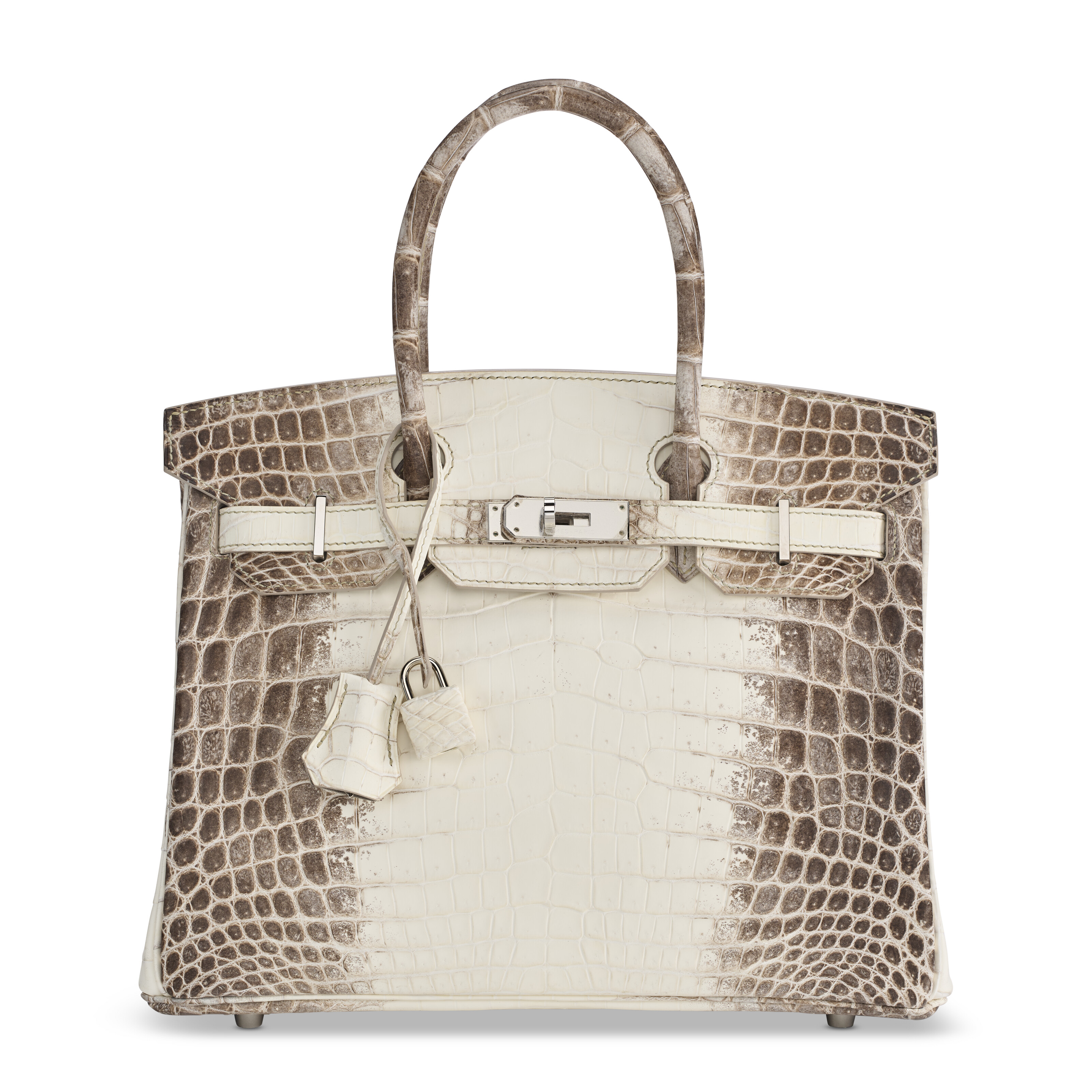 A RARE, MATTE WHITE HIMALAYA NILOTICUS CROCODILE BIRKIN 30 WITH