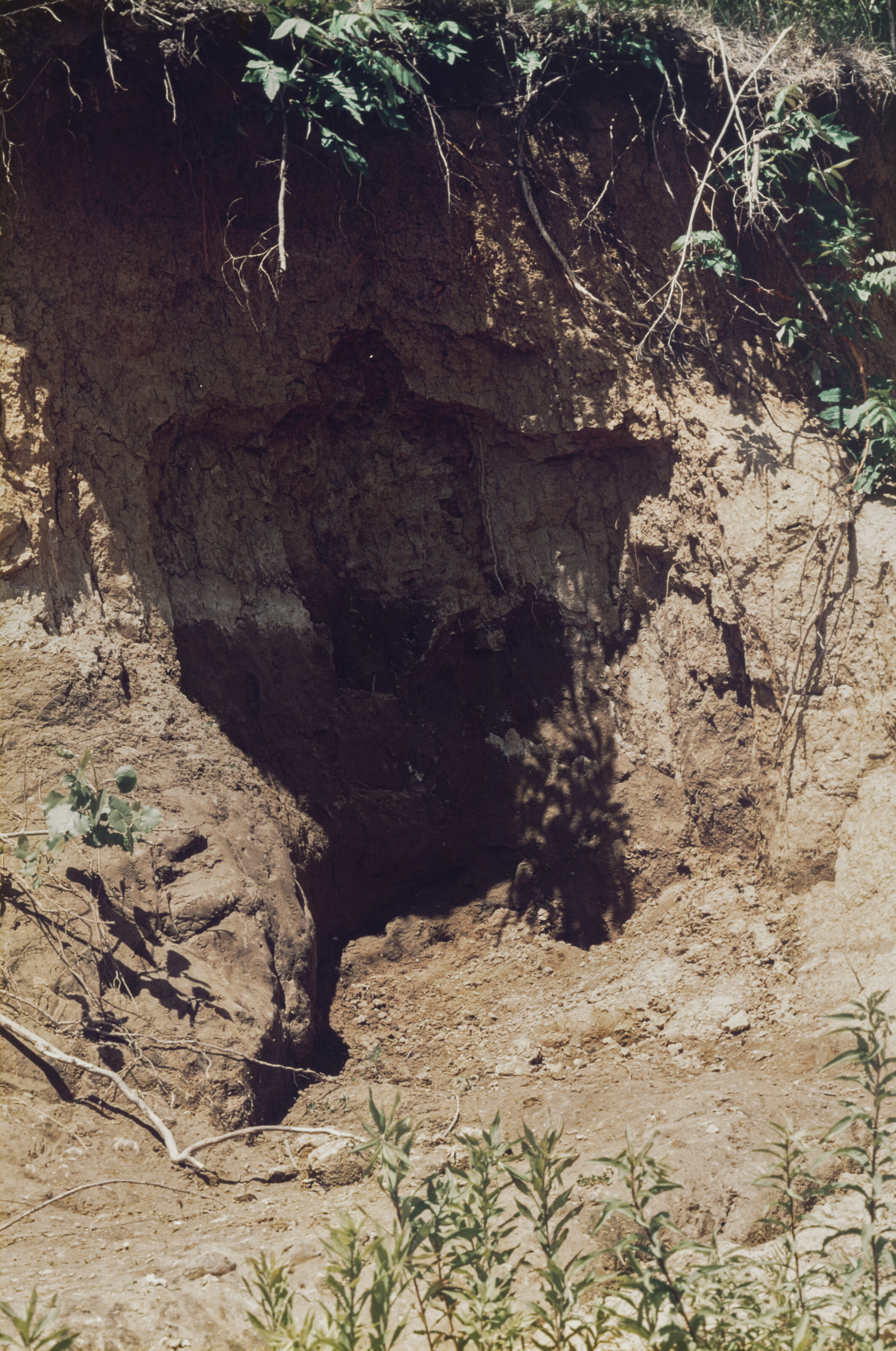 ANA MENDIETA (1948–1985)