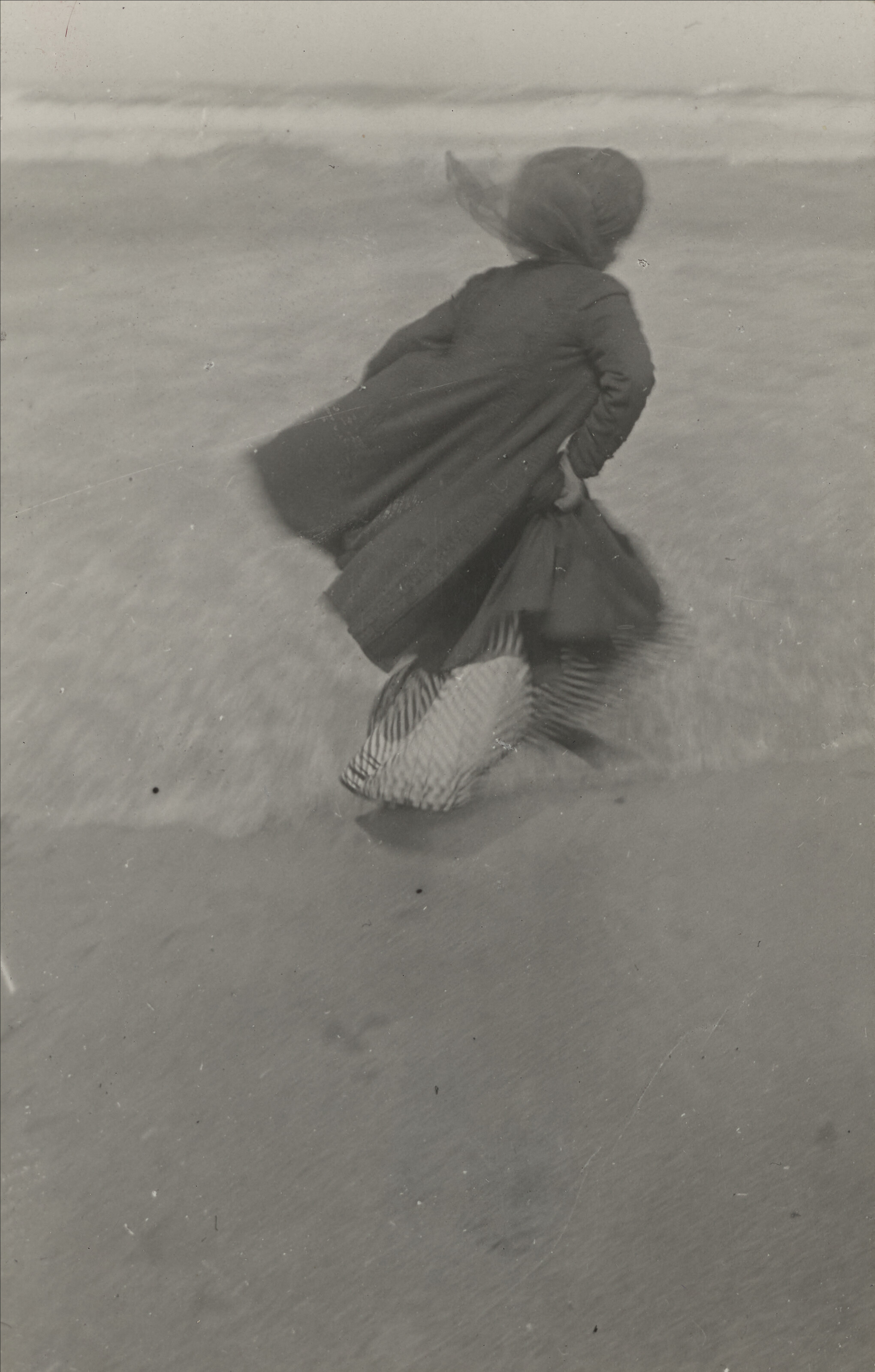 Jacques Henri Lartigue, Guitty, Biarritz, 1905, offered in Collection Roger Therond, une passion francaise - Evening sale on 13 November 2026 at Christie's in Paris