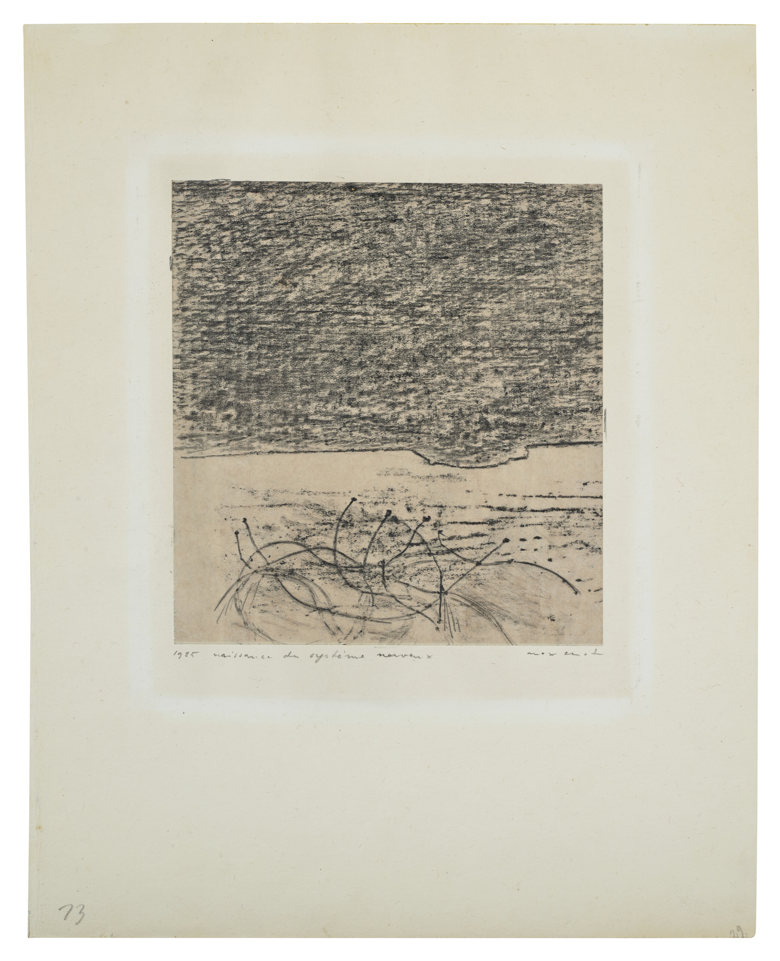 Max Ernst (1891-1976), Naissance du système nerveux | Christie's