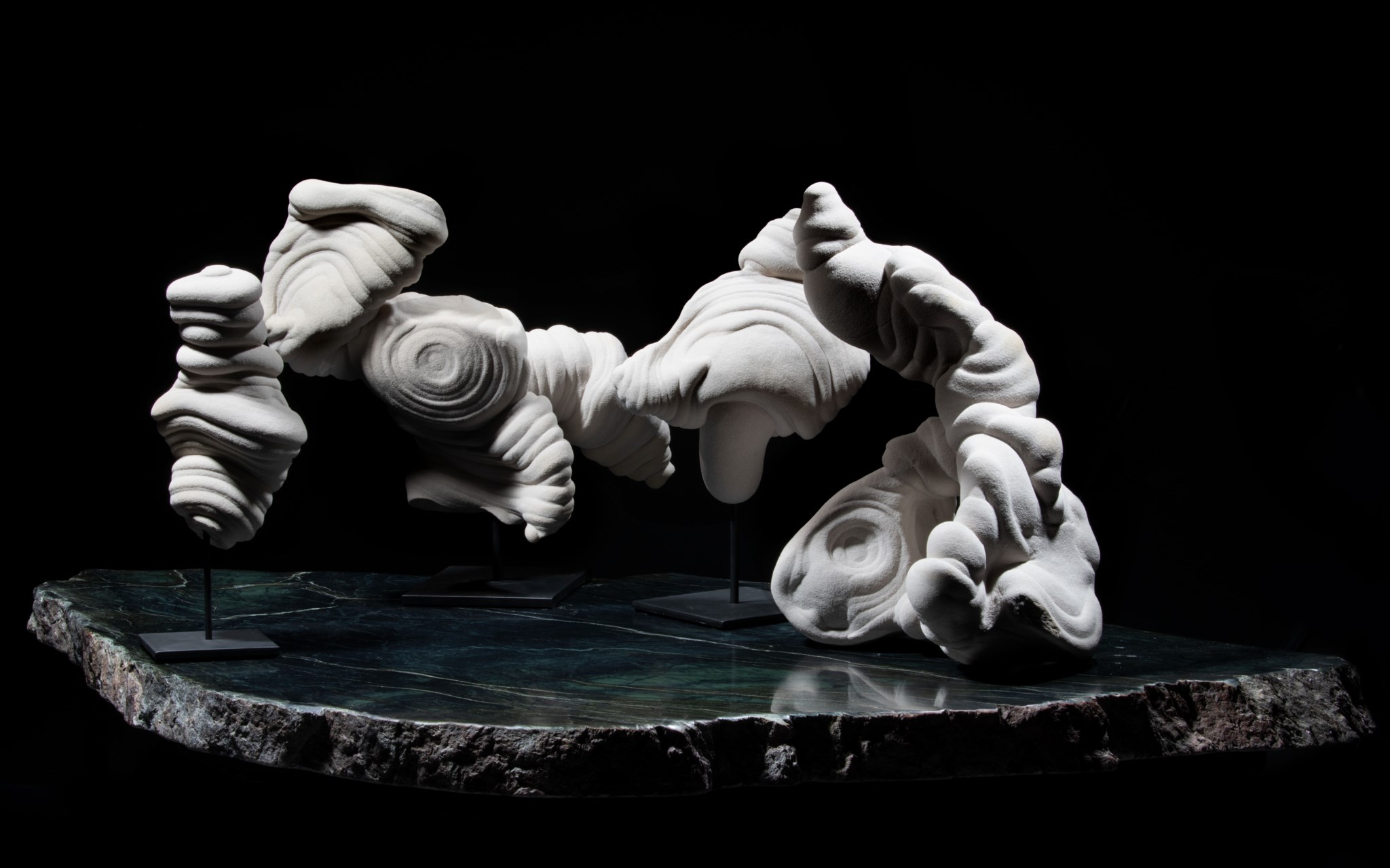 Sculpted by Nature: Fossils, Minerals and Meteorites