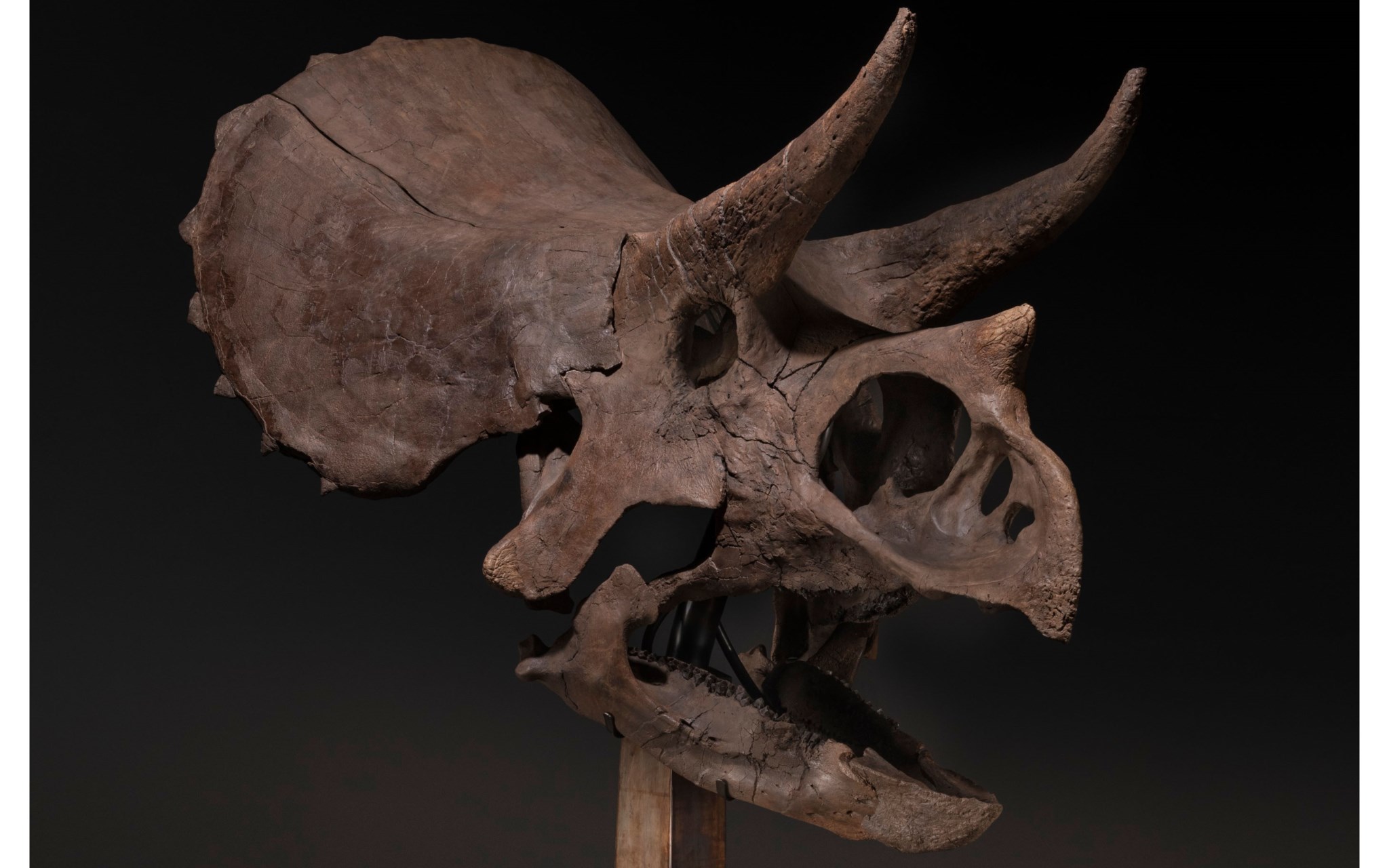 Science and Natural History