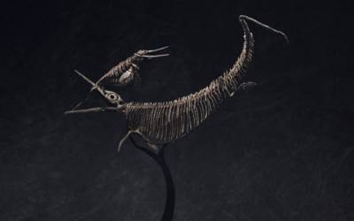 Science and Natural History