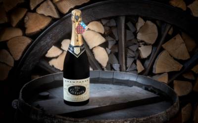 The Two Continents Collection - The Private Cellar of Irwin Kotovsky Online Part II